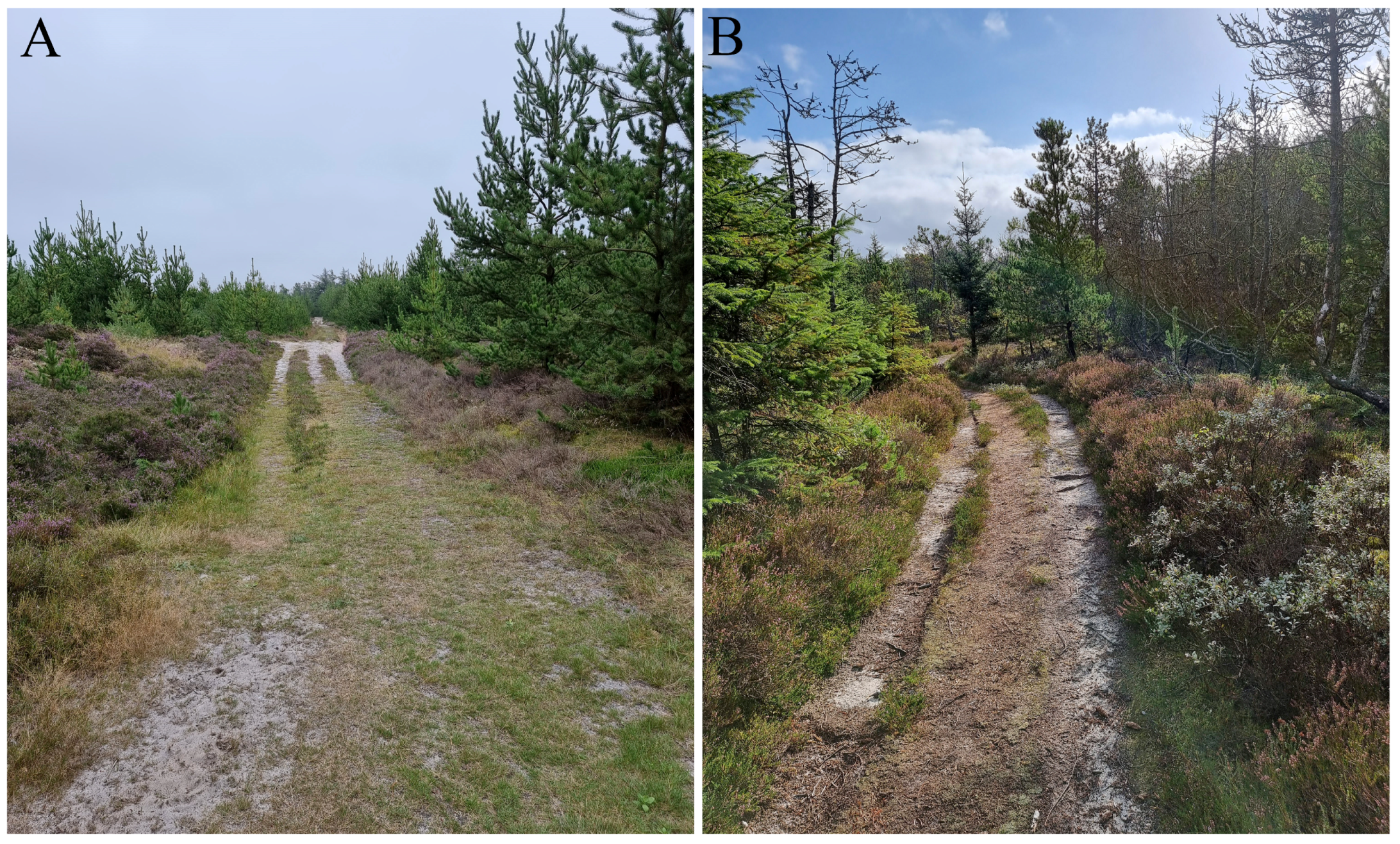 Insects 15 00191 g002 Insects 15 00191 g002