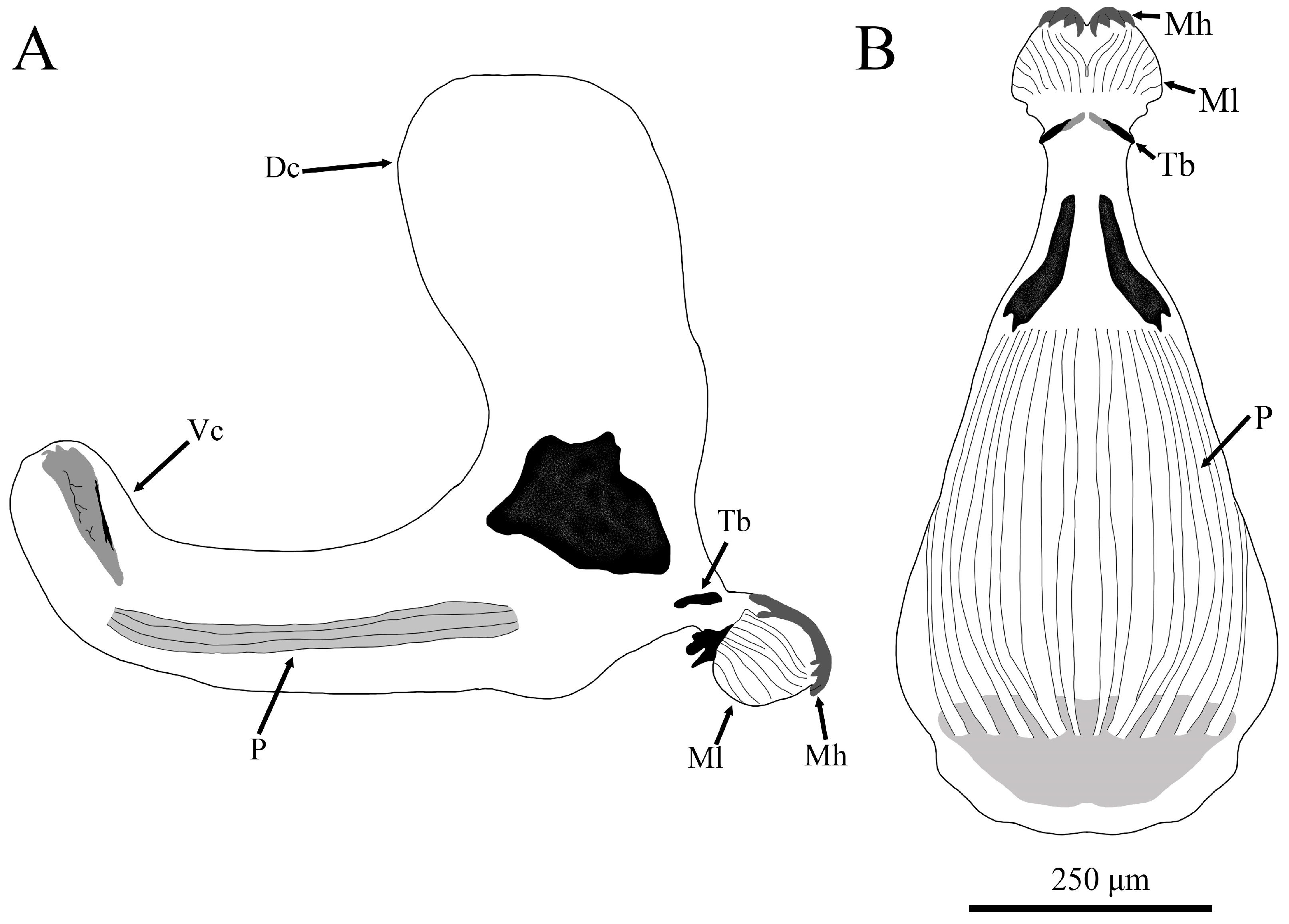 Insects 15 00191 g005 Insects 15 00191 g005