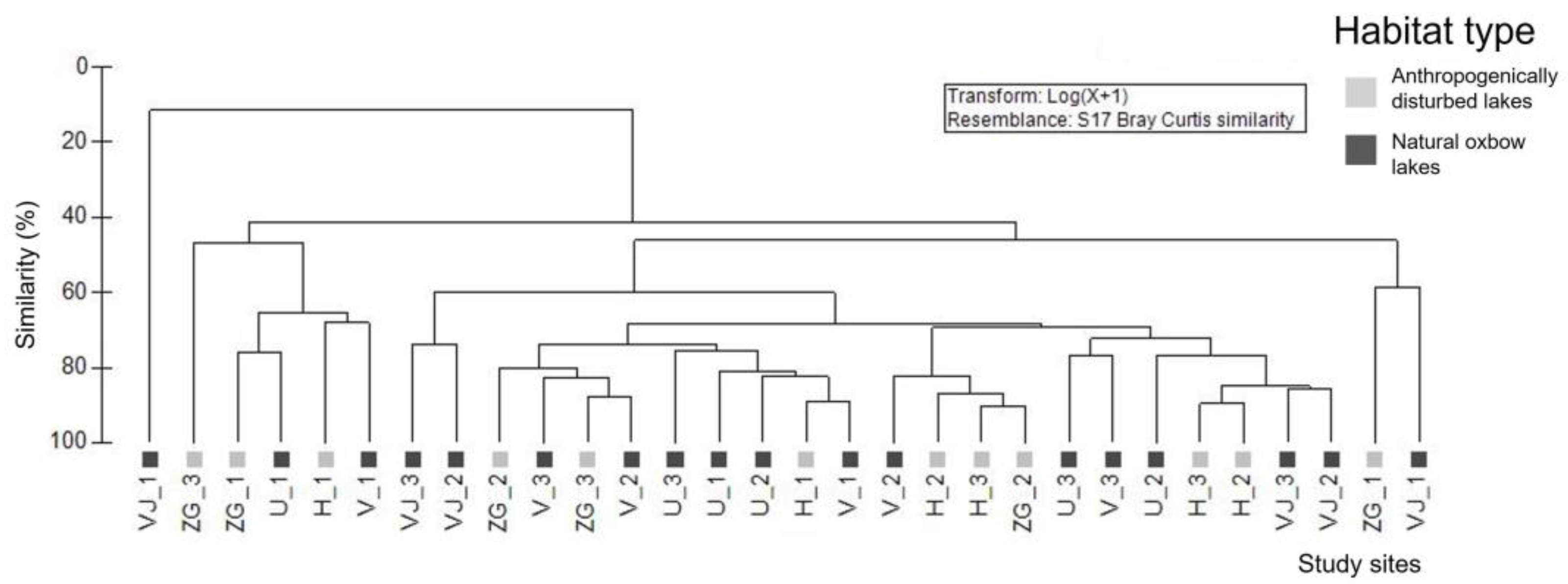 Insects 15 00207 g002