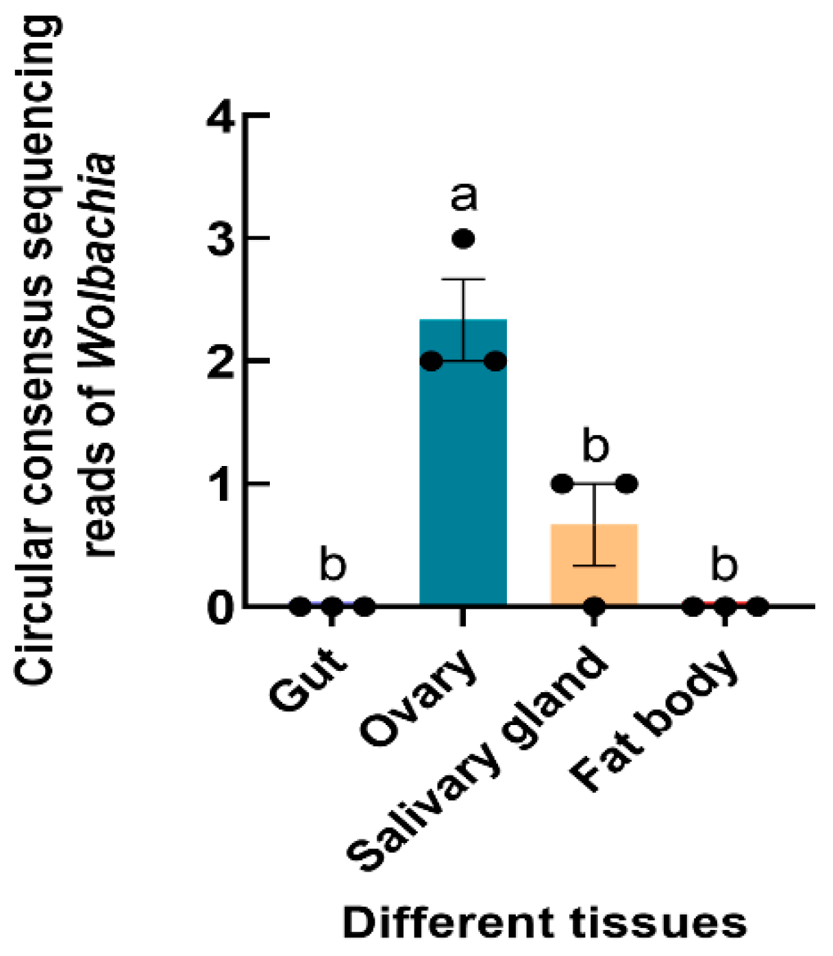 Insects 15 00217 g004