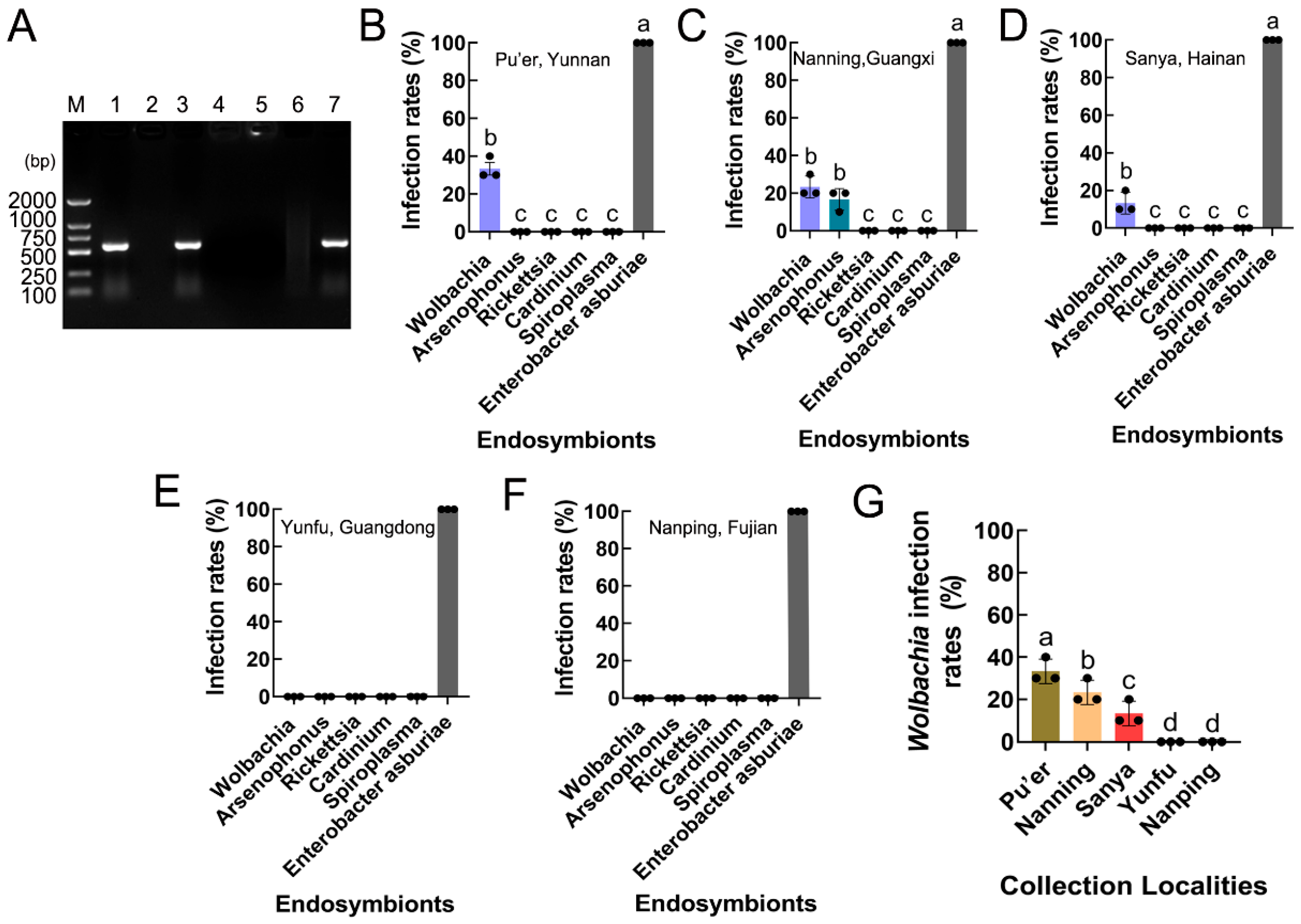 Insects 15 00217 g005