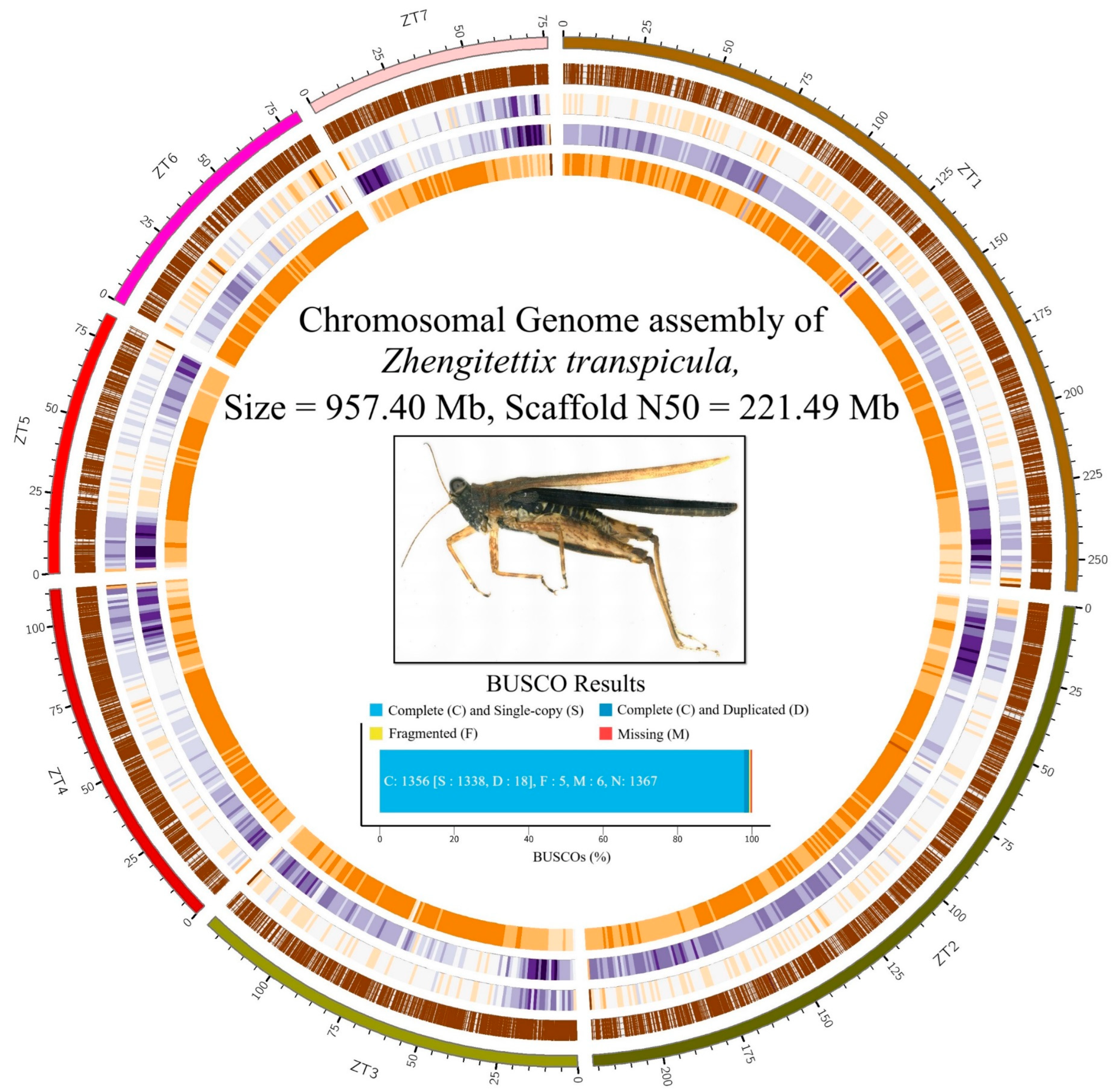 Insects 15 00223 g001 Insects 15 00223 g001