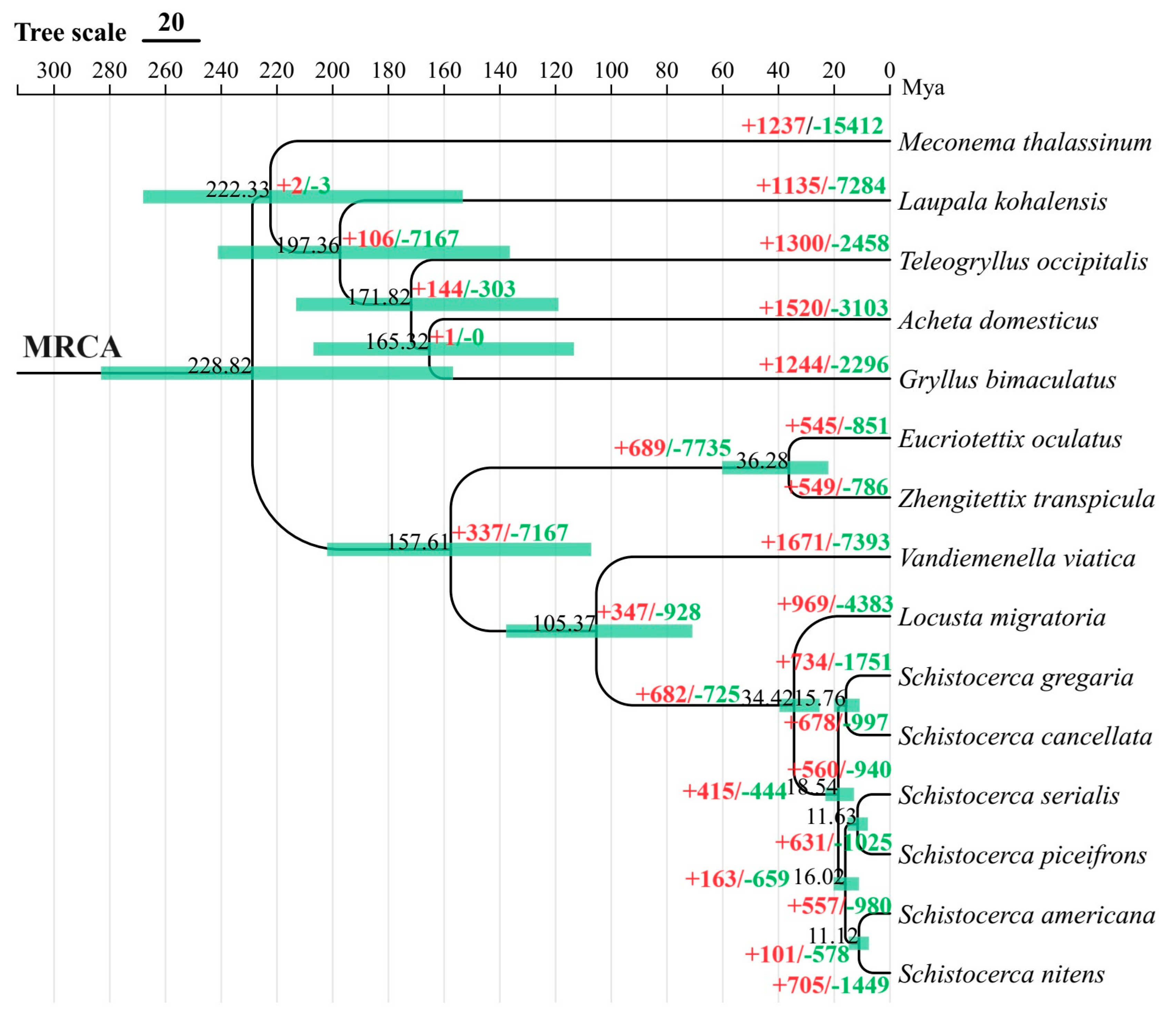 Insects 15 00223 g004 Insects 15 00223 g004