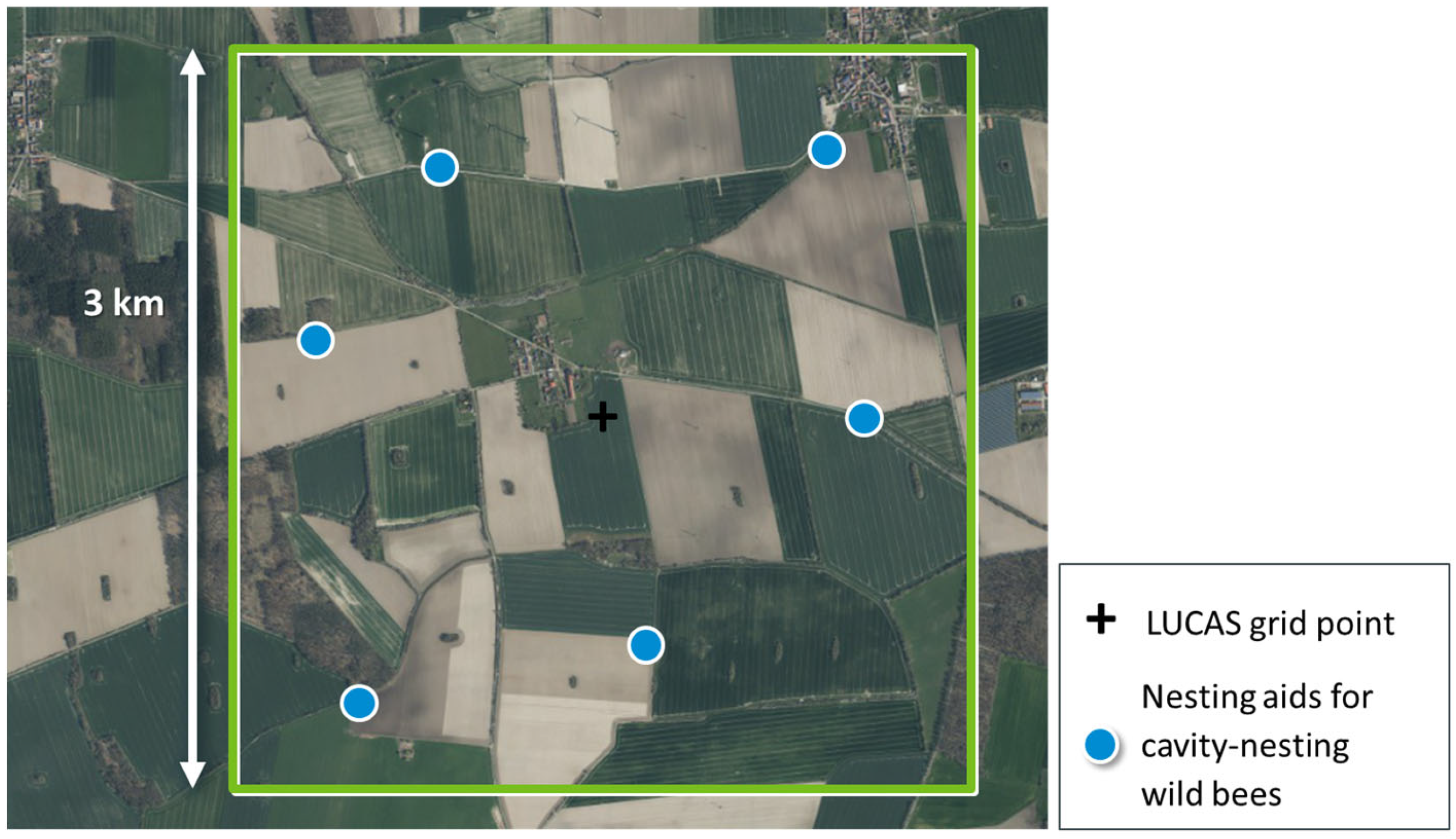 Insects 15 00229 g003 Insects 15 00229 g003