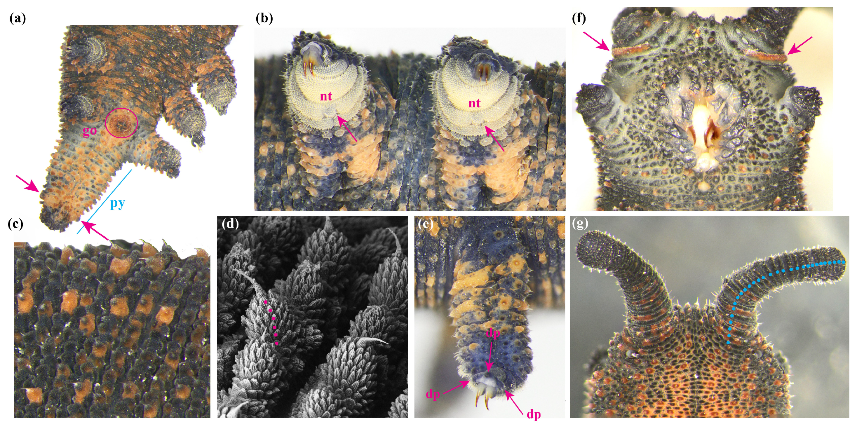 Insects 15 00248 g004