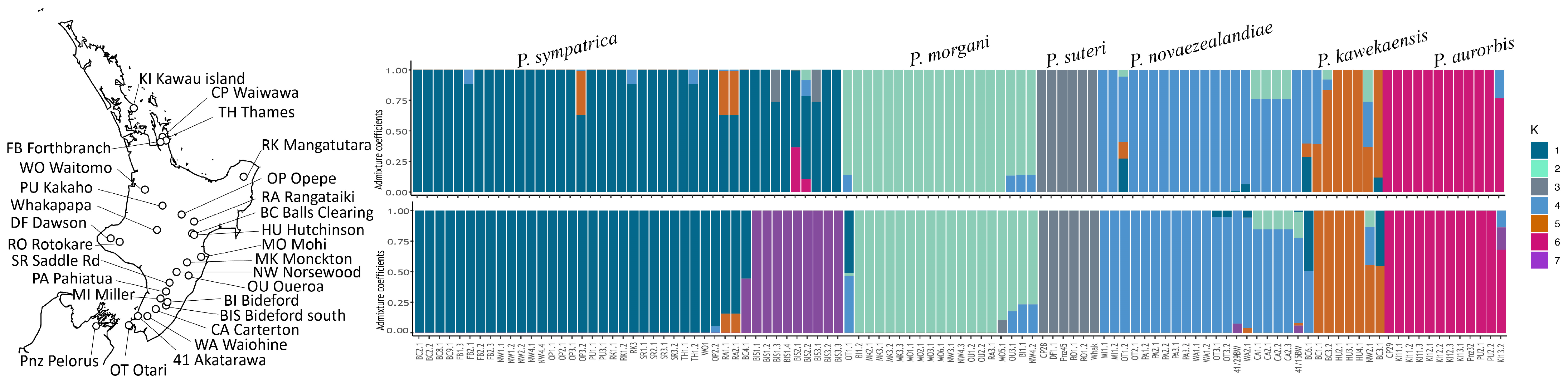 Insects 15 00248 g005
