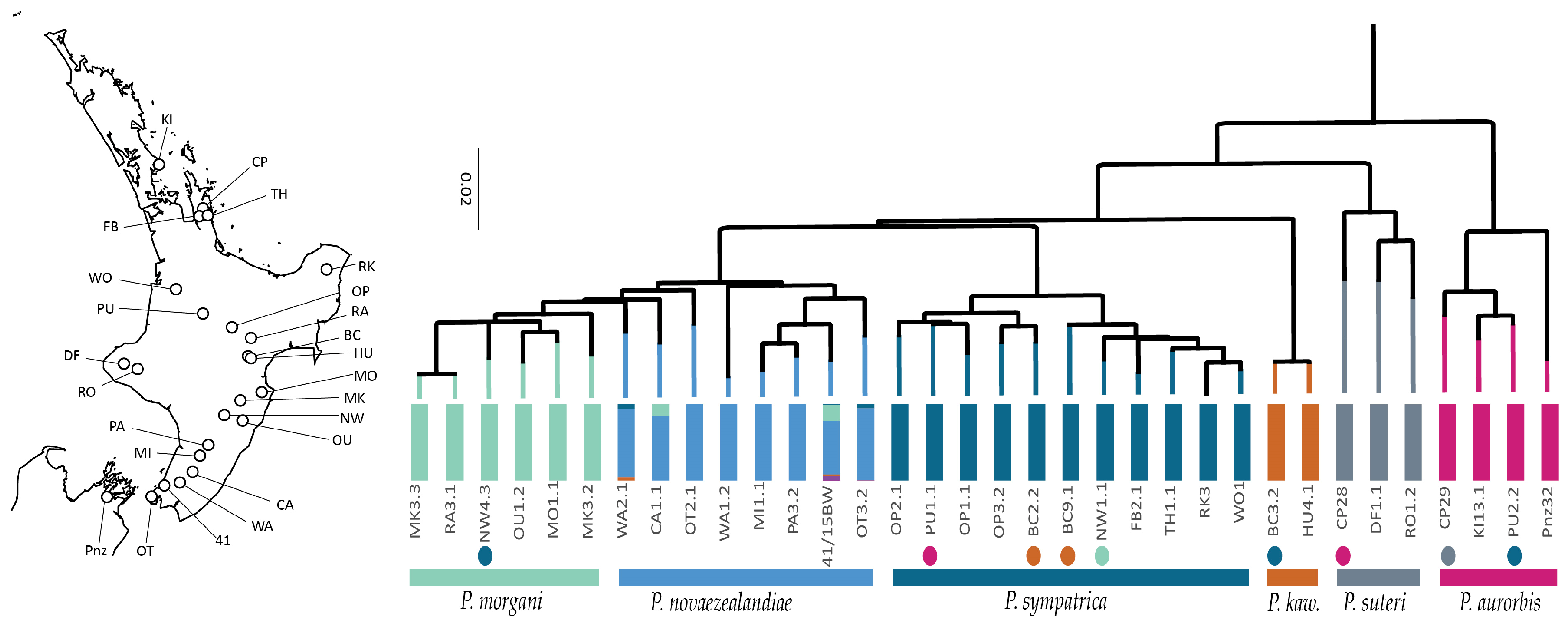 Insects 15 00248 g006