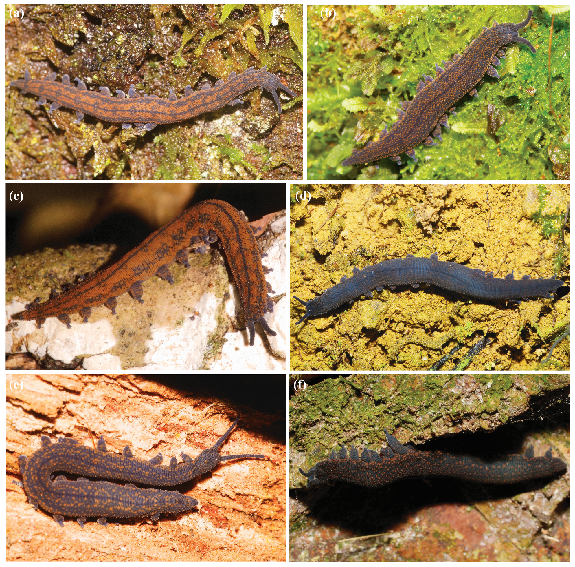 Insects 15 00248 g009