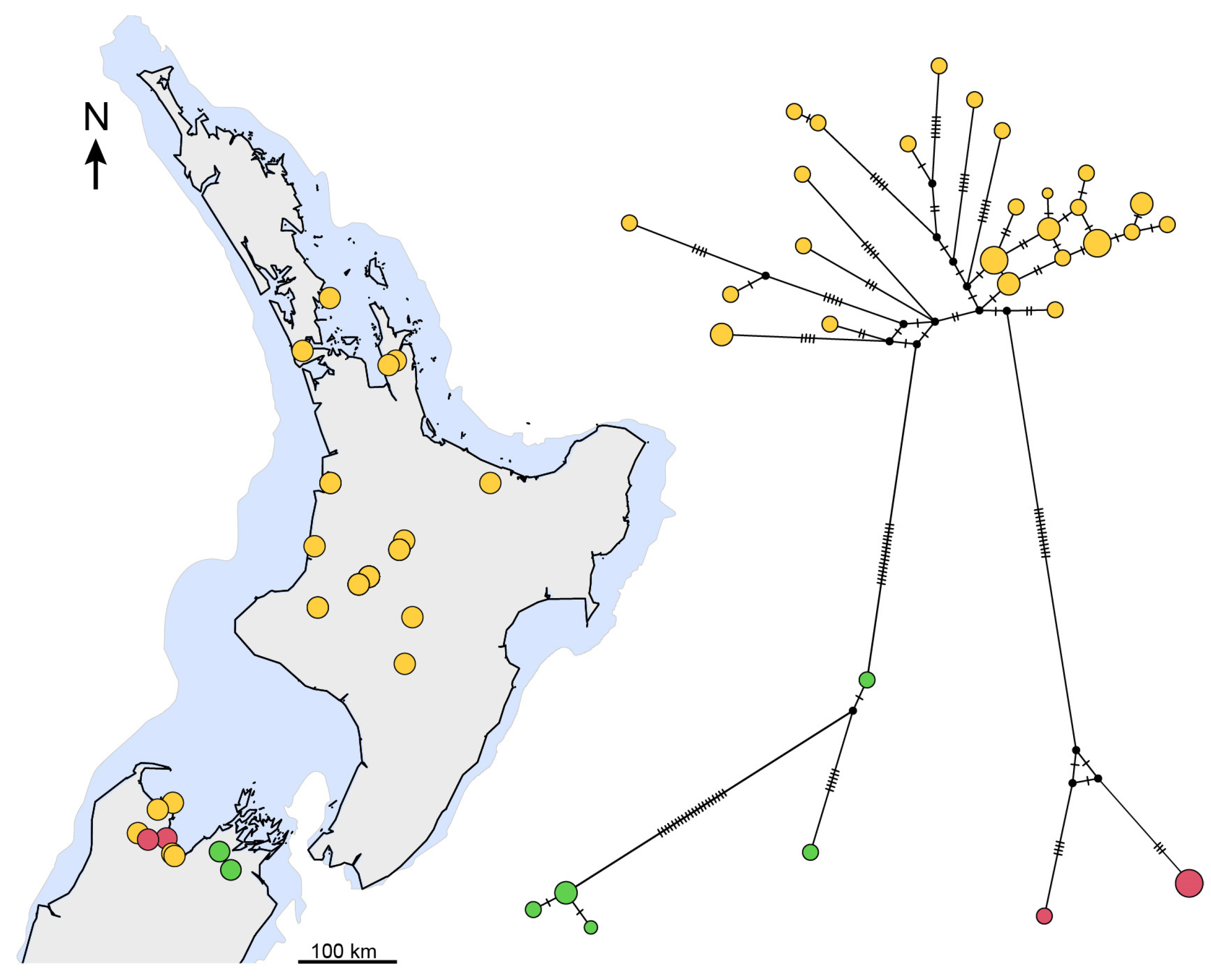 Insects 15 00248 g012