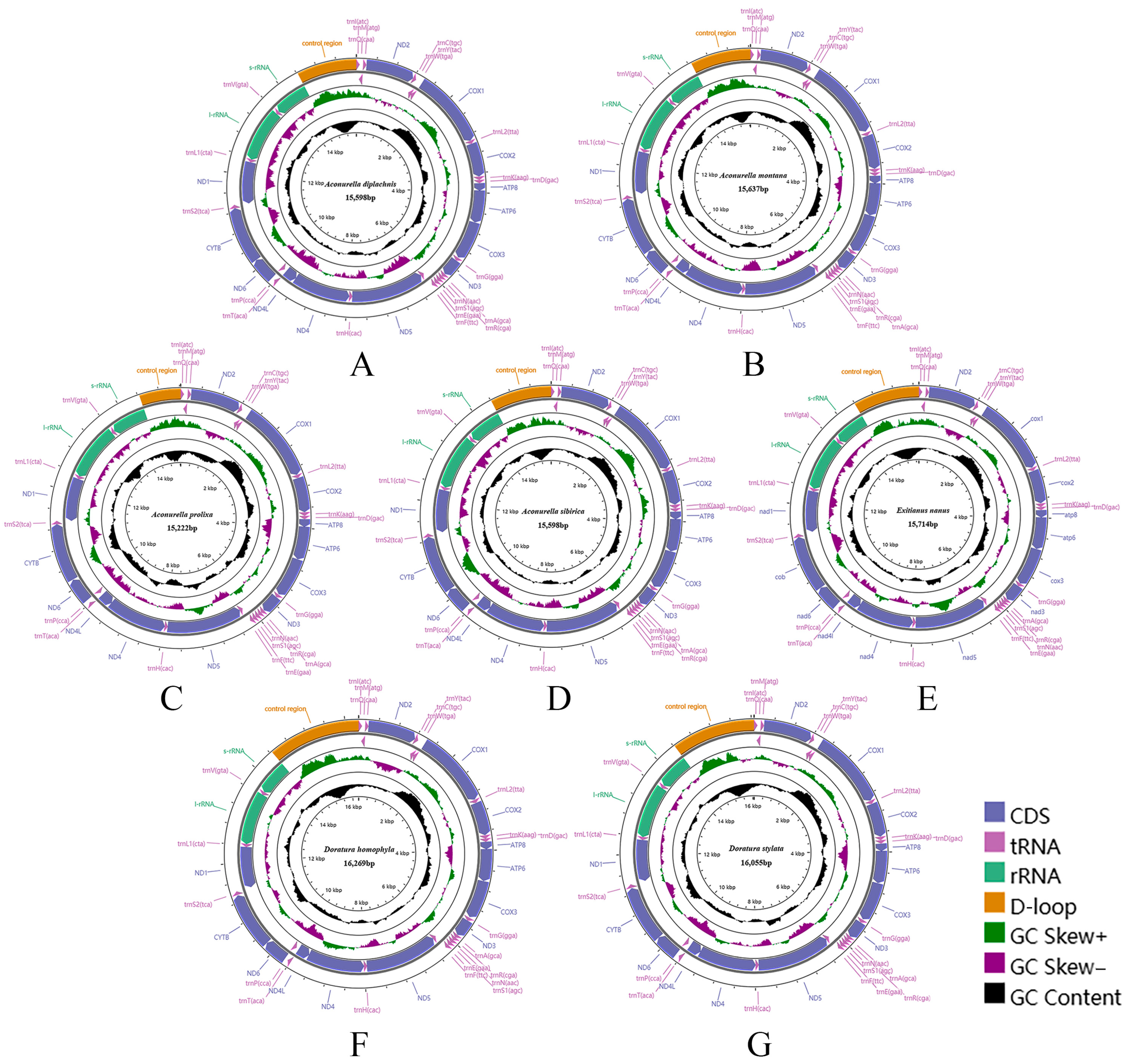 Insects 15 00253 g001 Insects 15 00253 g001