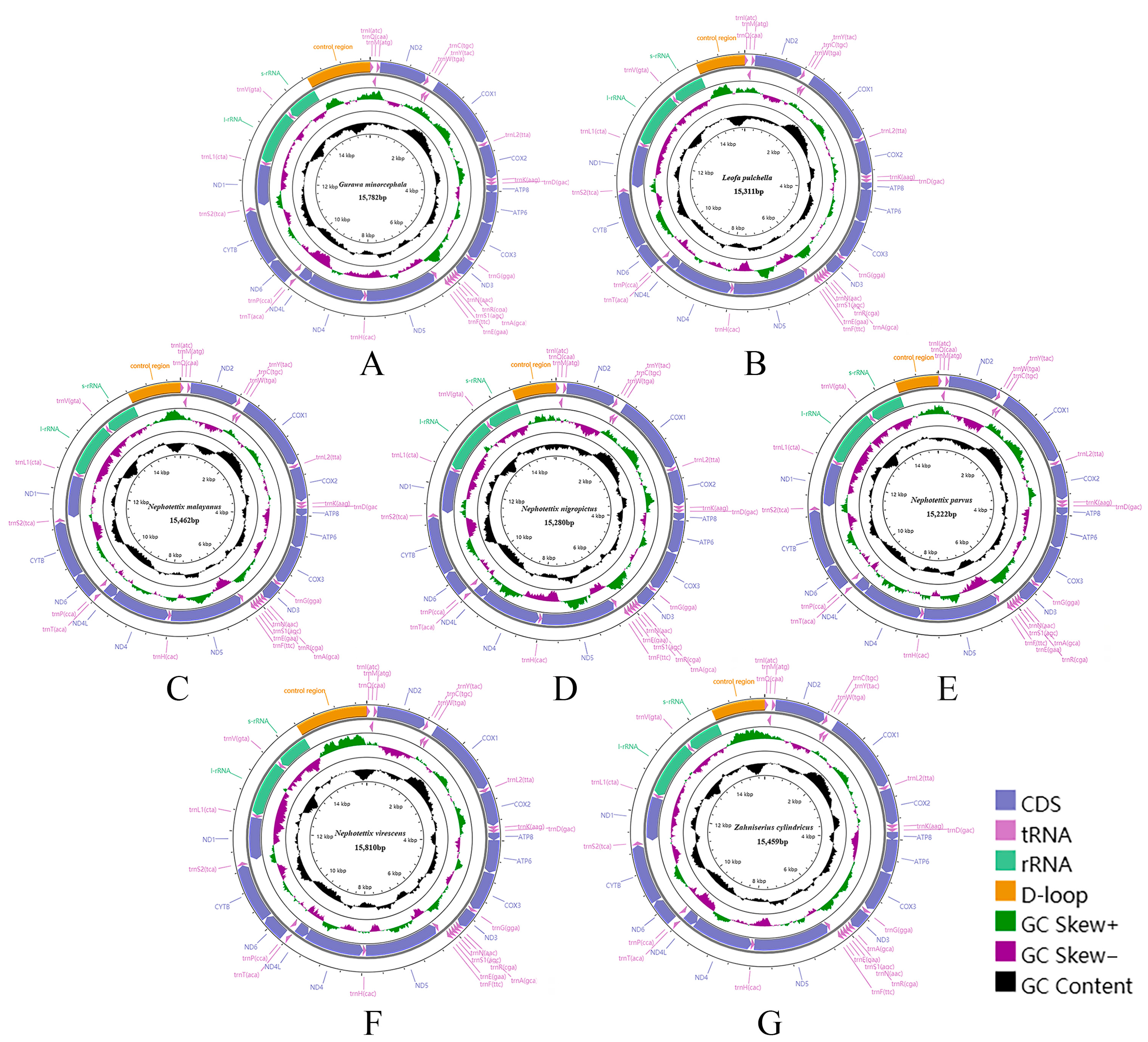 Insects 15 00253 g002 Insects 15 00253 g002