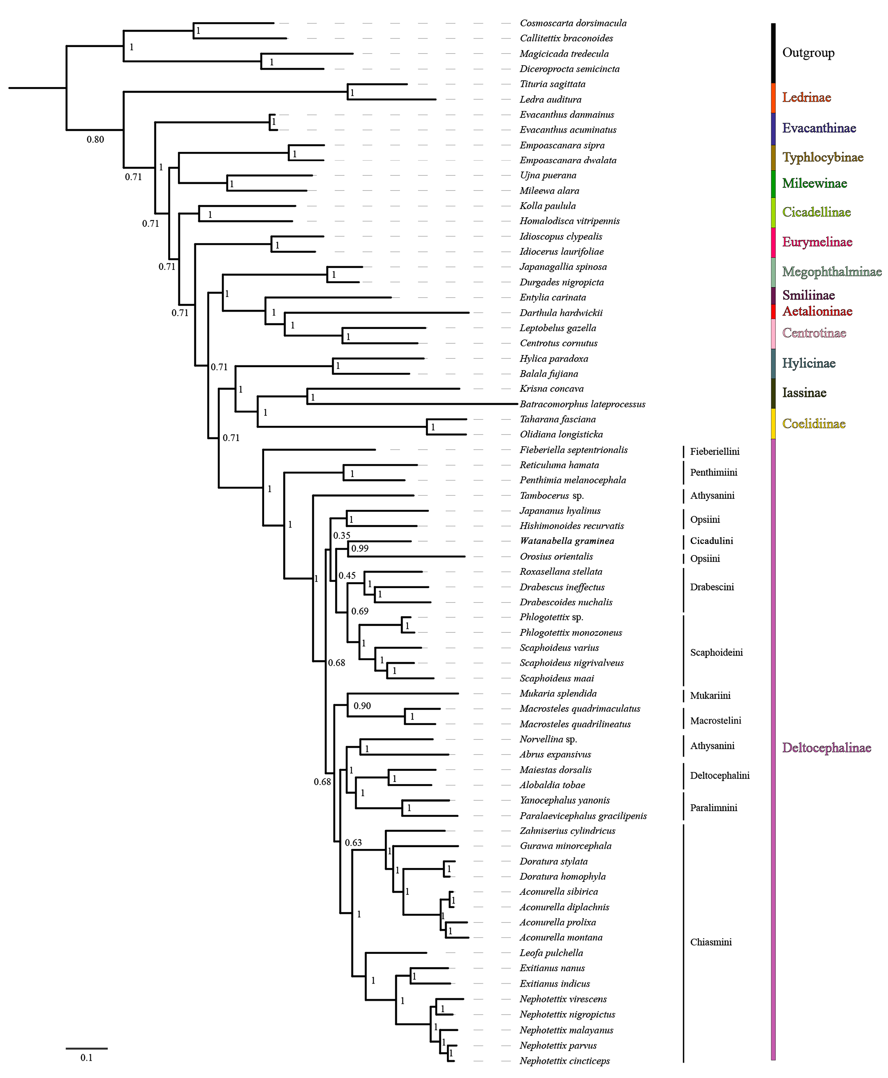 Insects 15 00253 g008 Insects 15 00253 g008