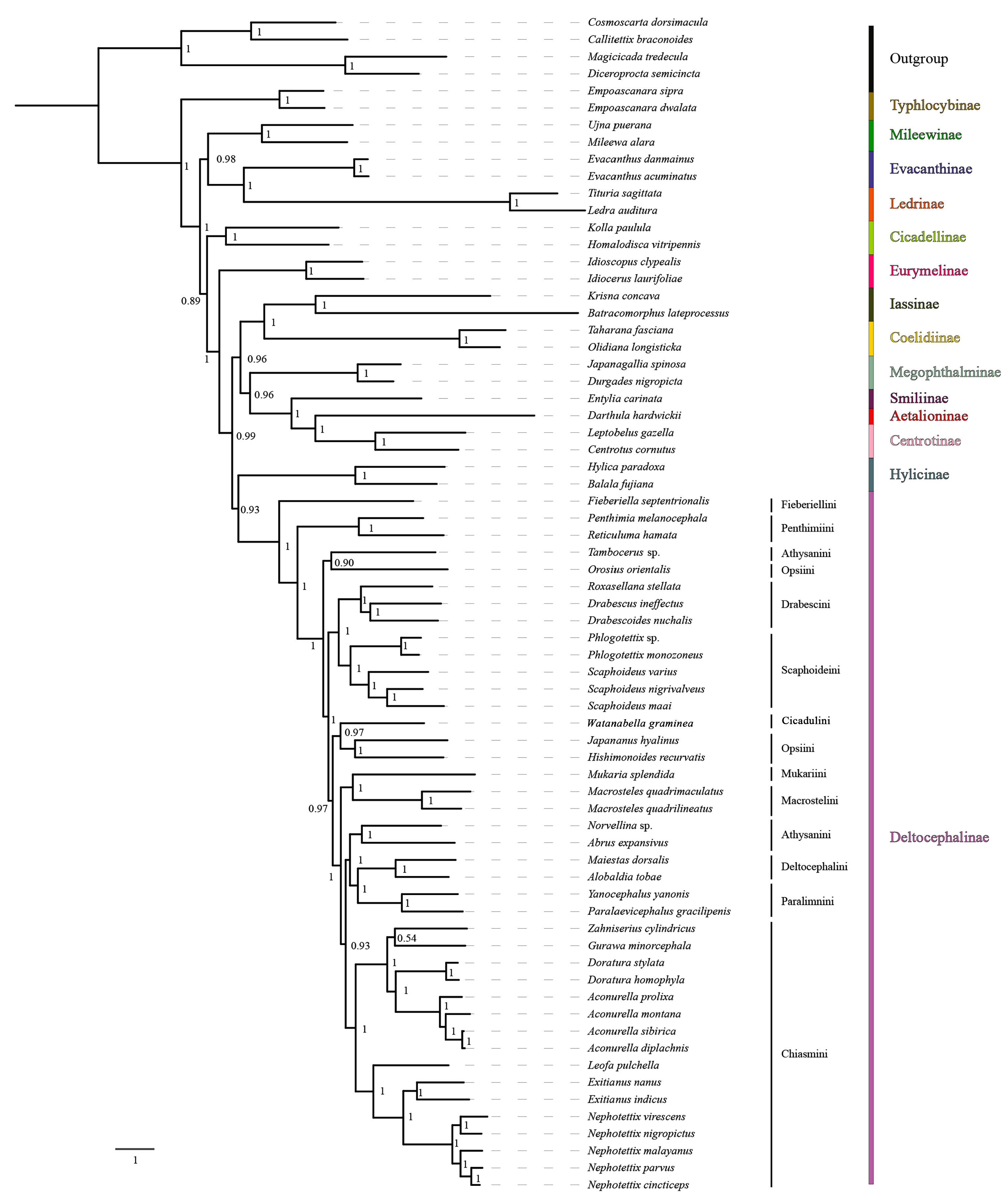Insects 15 00253 g009 Insects 15 00253 g009