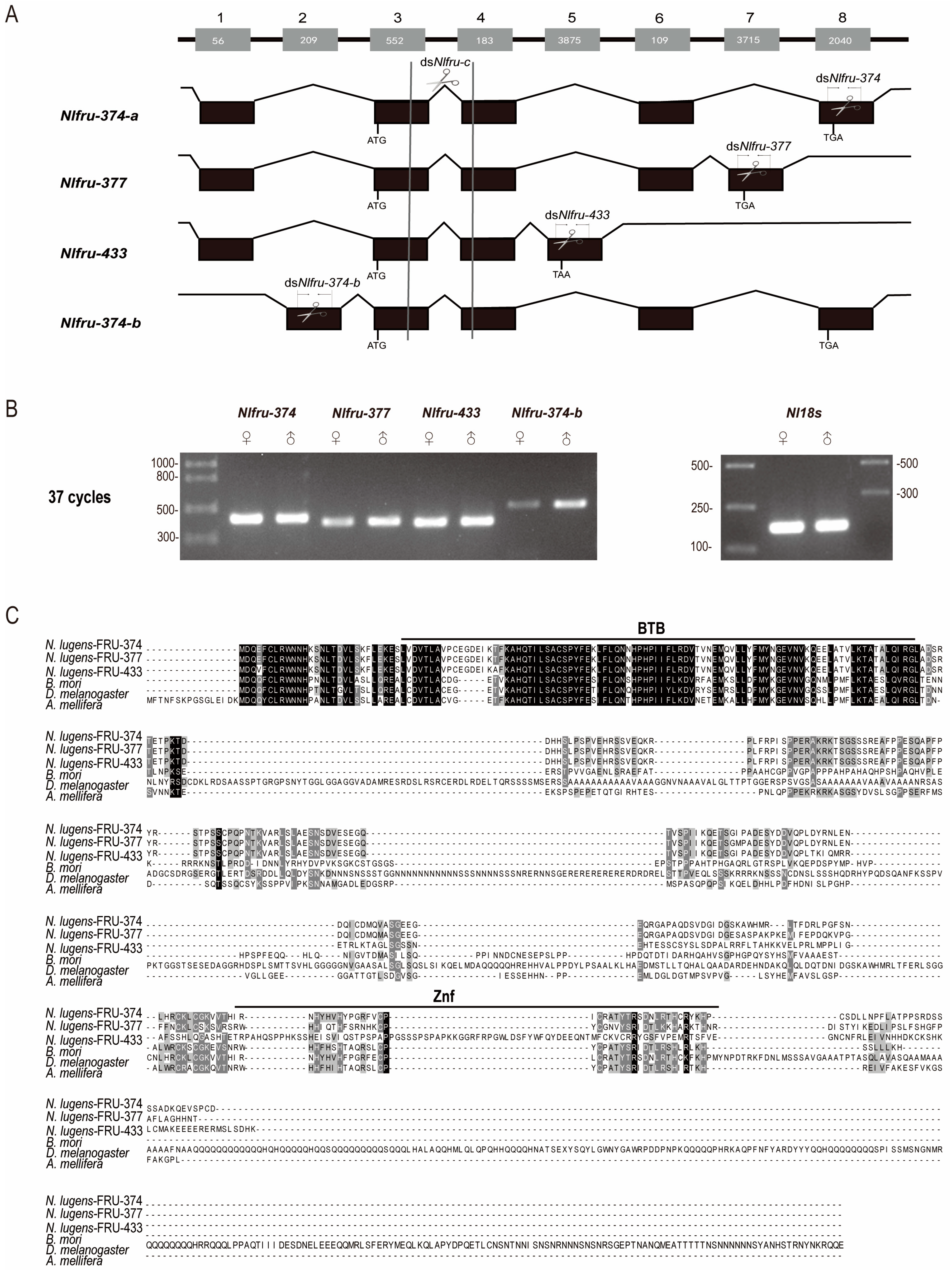 Insects 15 00262 g001