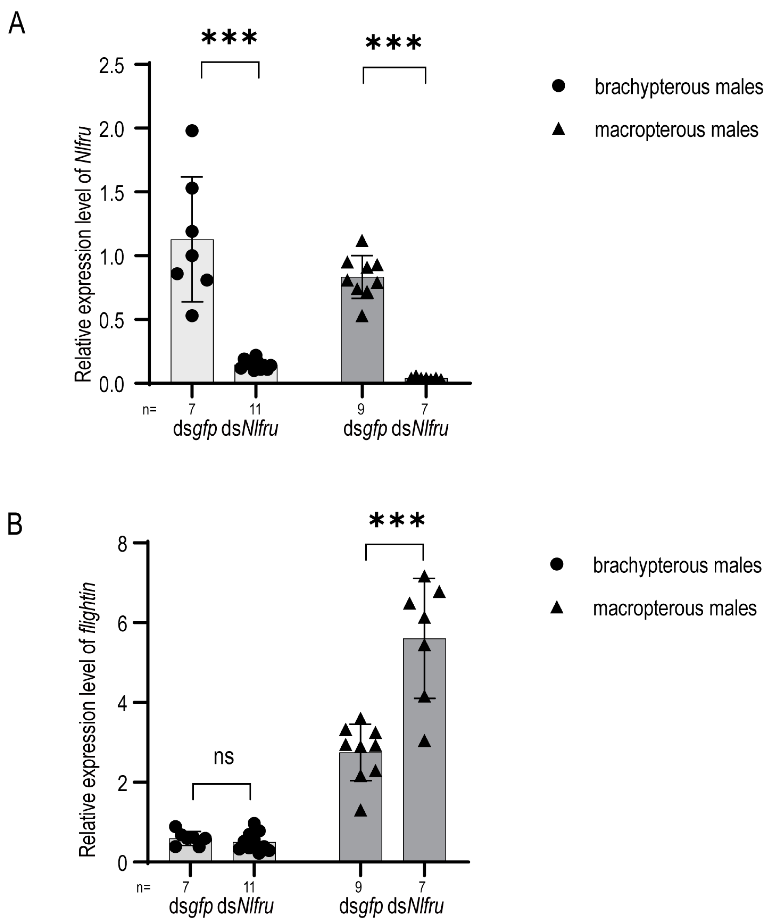 Insects 15 00262 g008