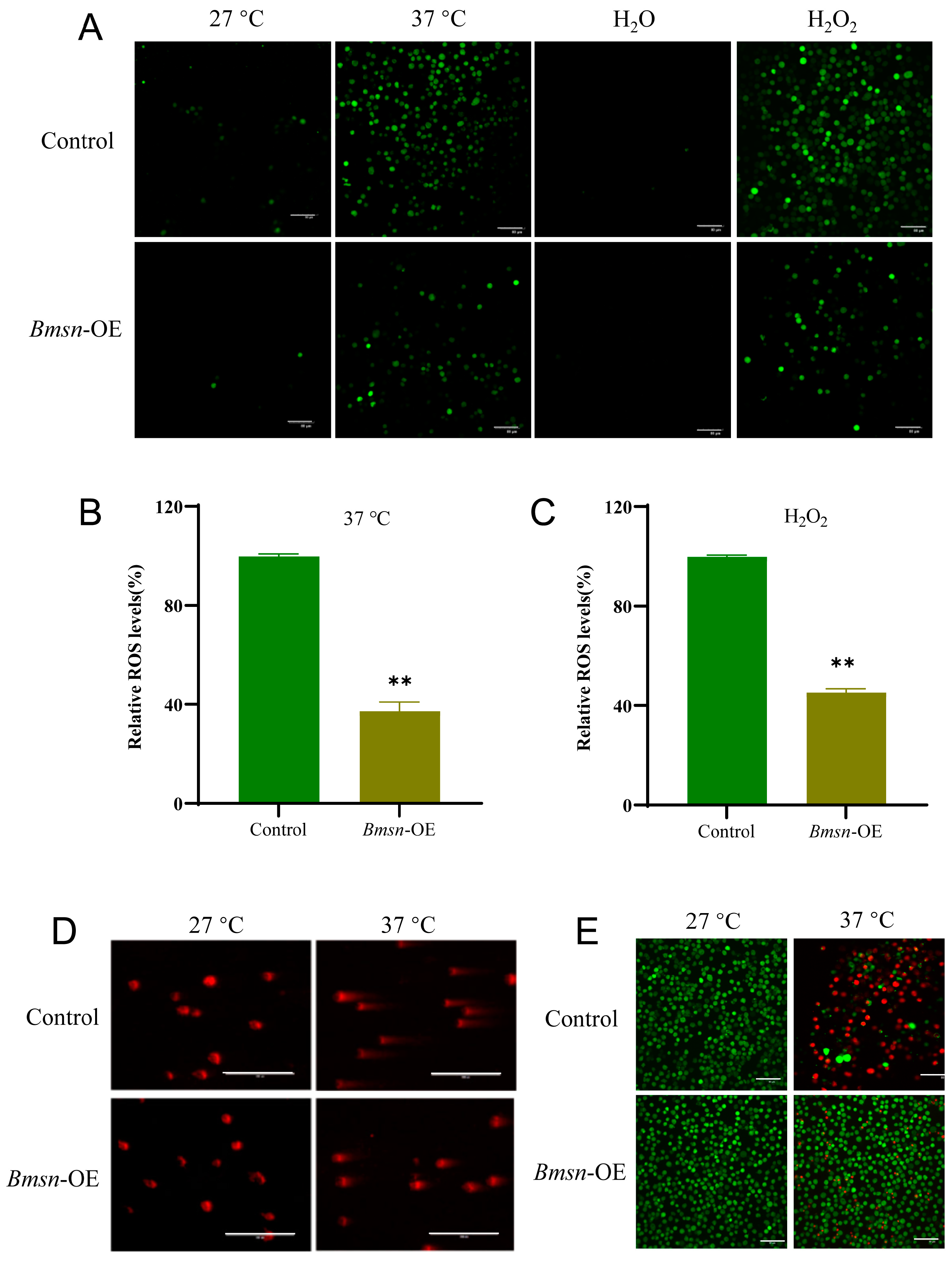 Insects 15 00264 g003