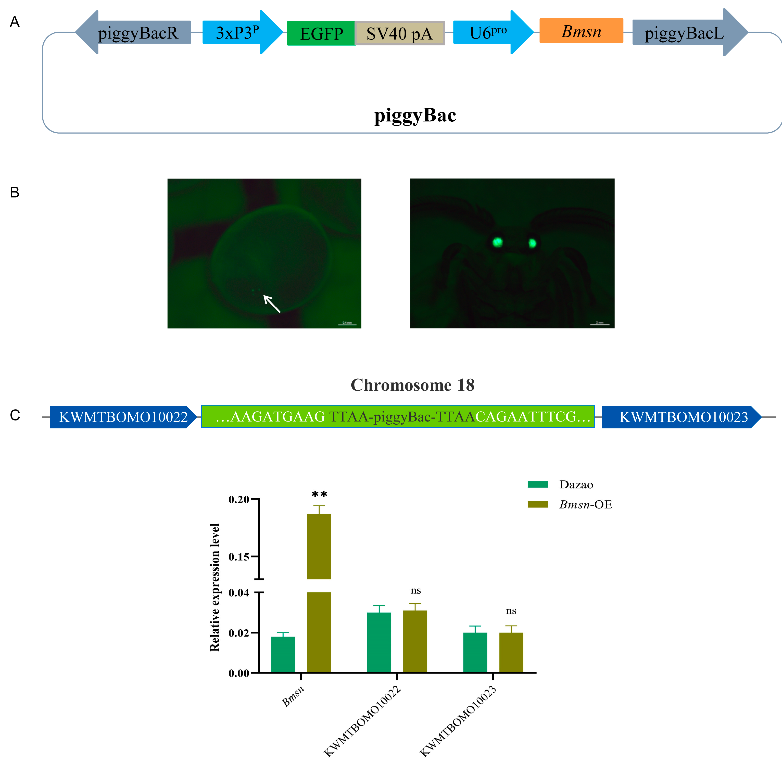 Insects 15 00264 g004