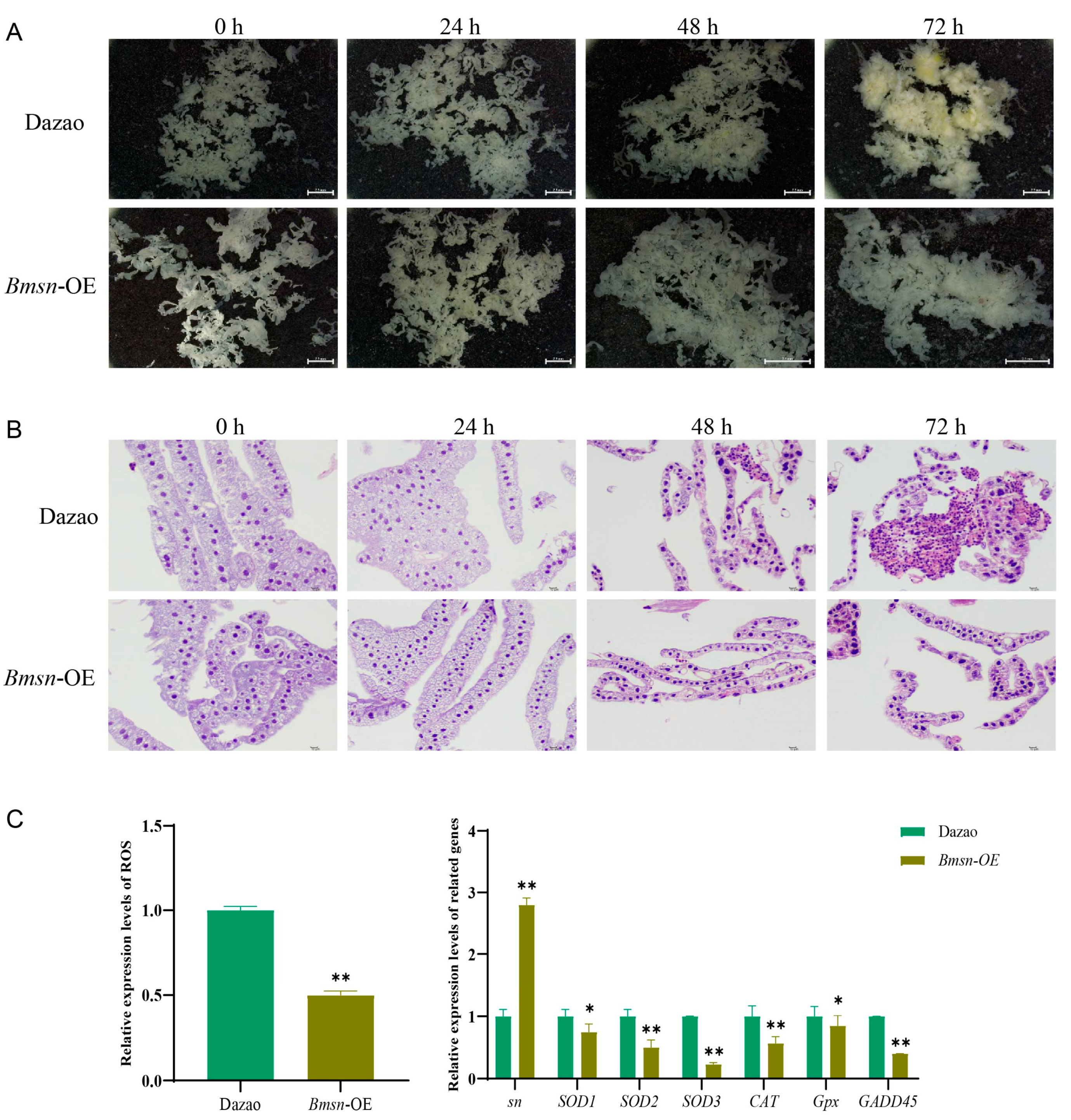 Insects 15 00264 g007