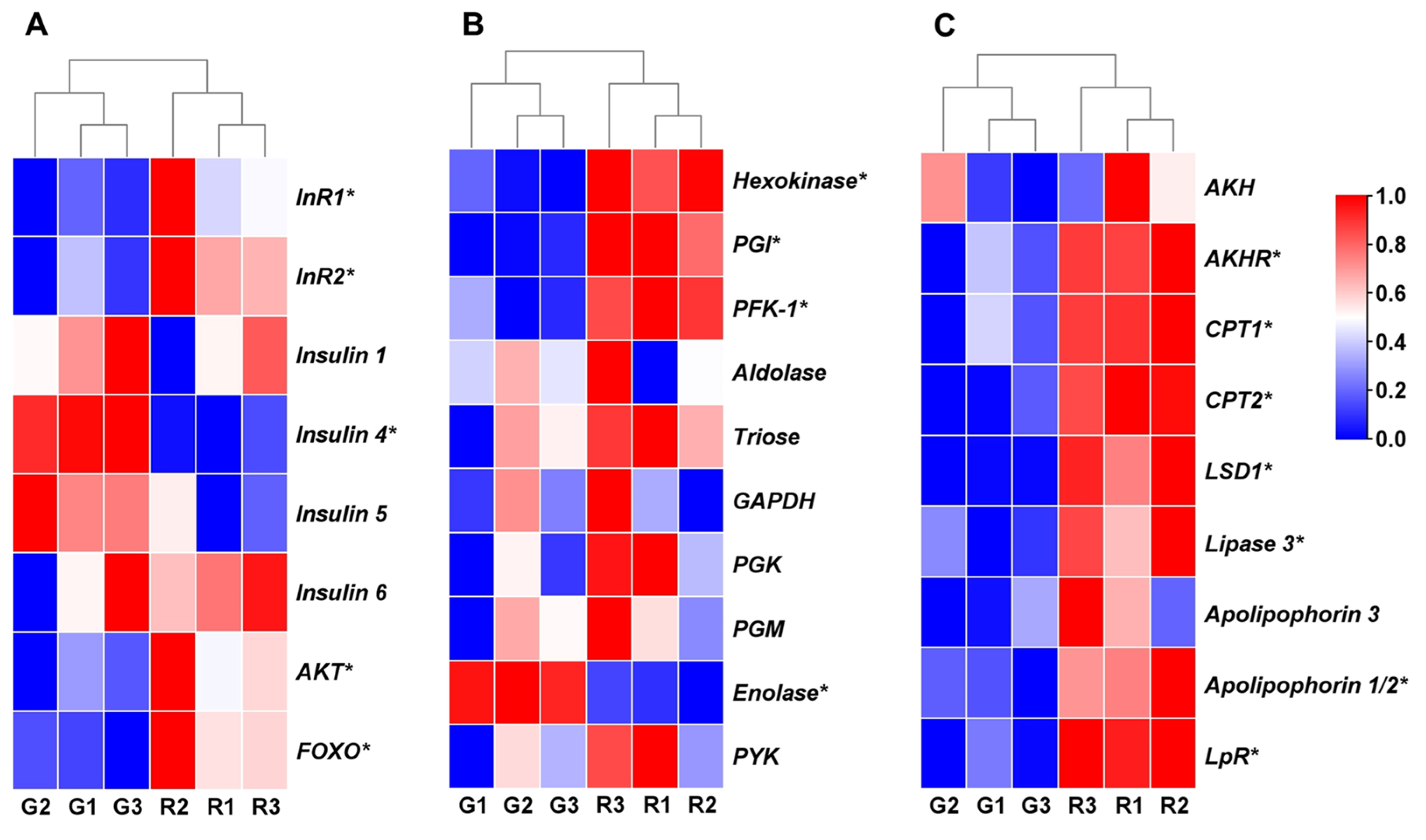 Insects 15 00279 g003