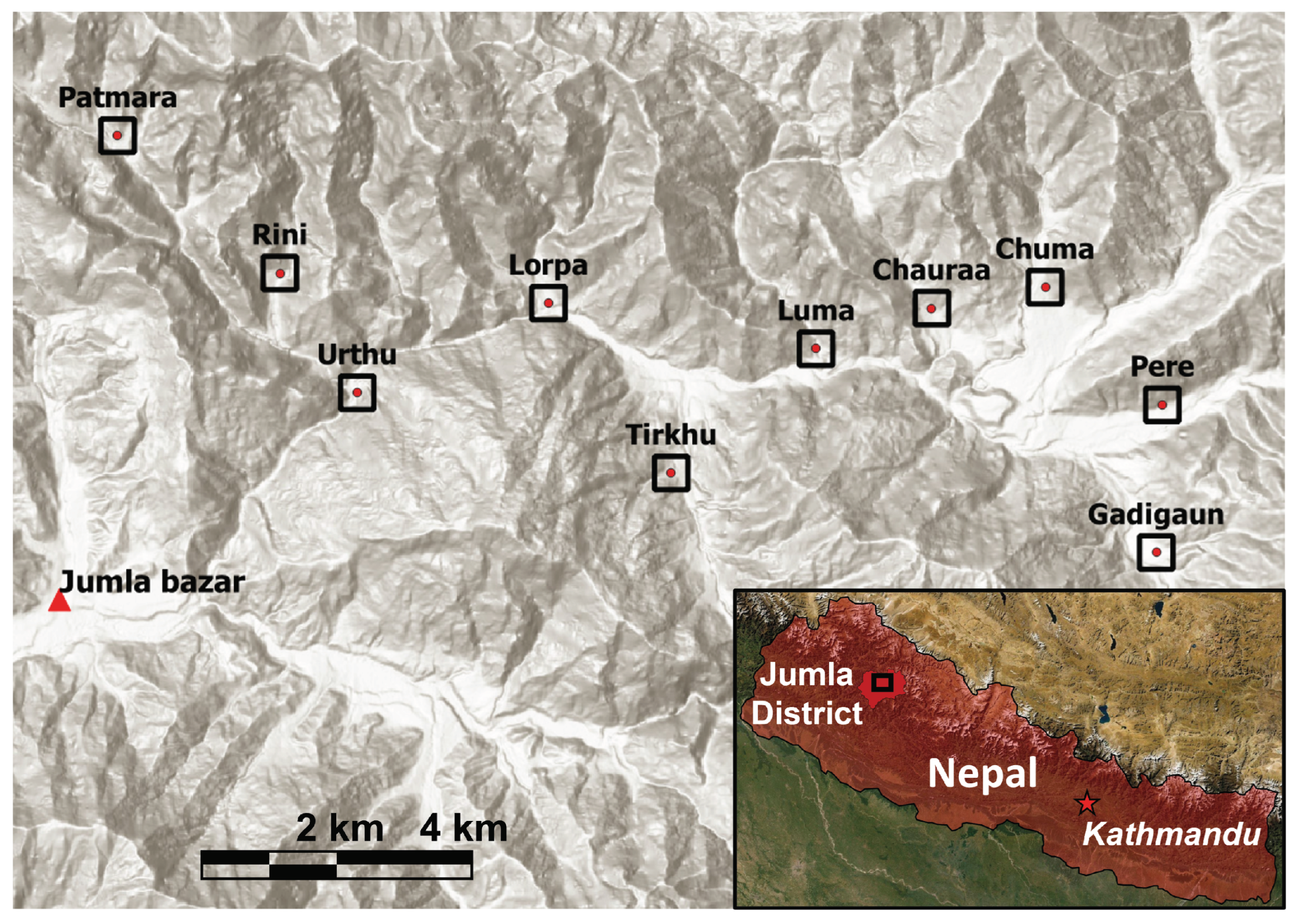 Insects 15 00281 g0a1