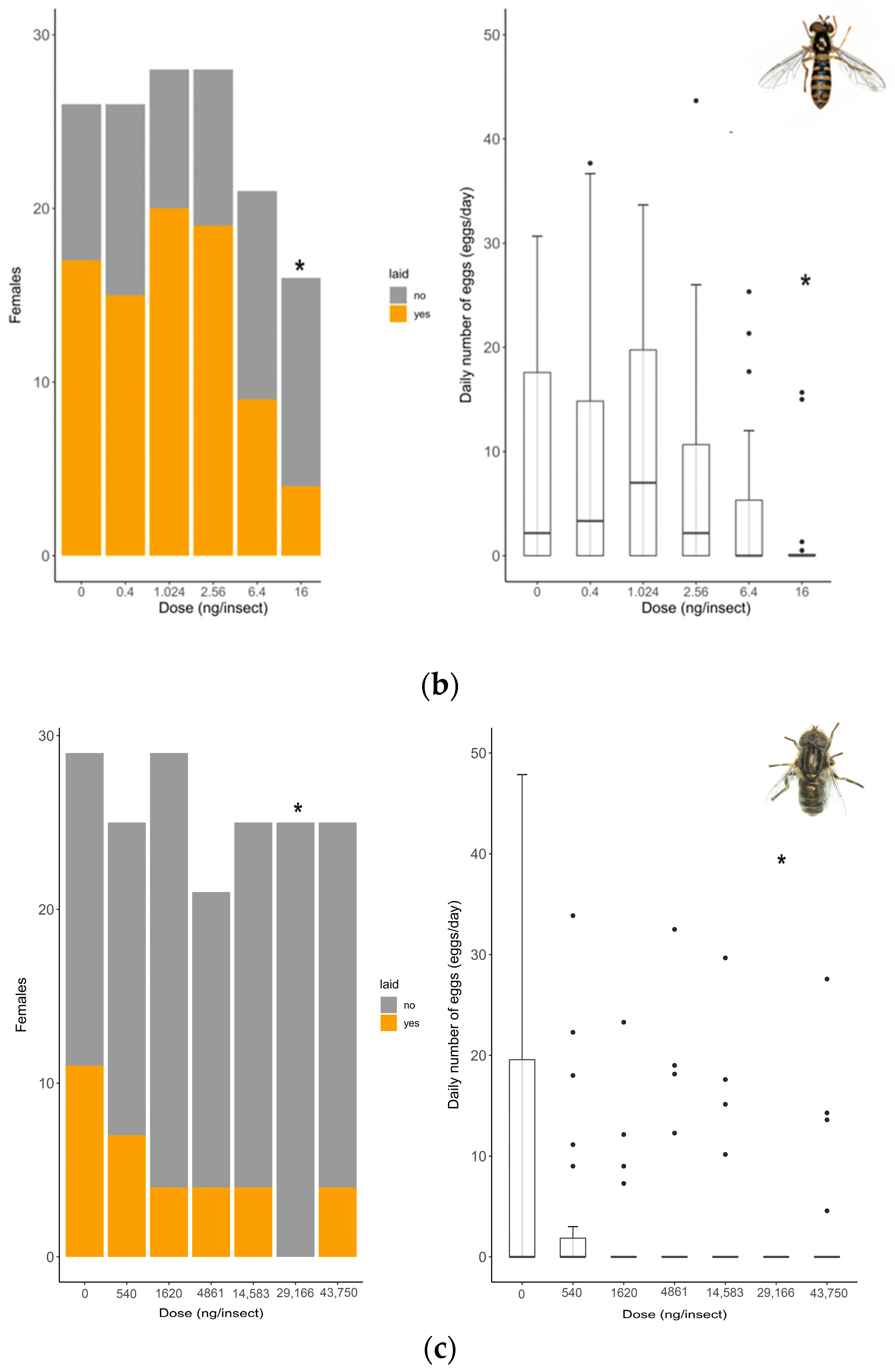 Insects 15 00317 g002b