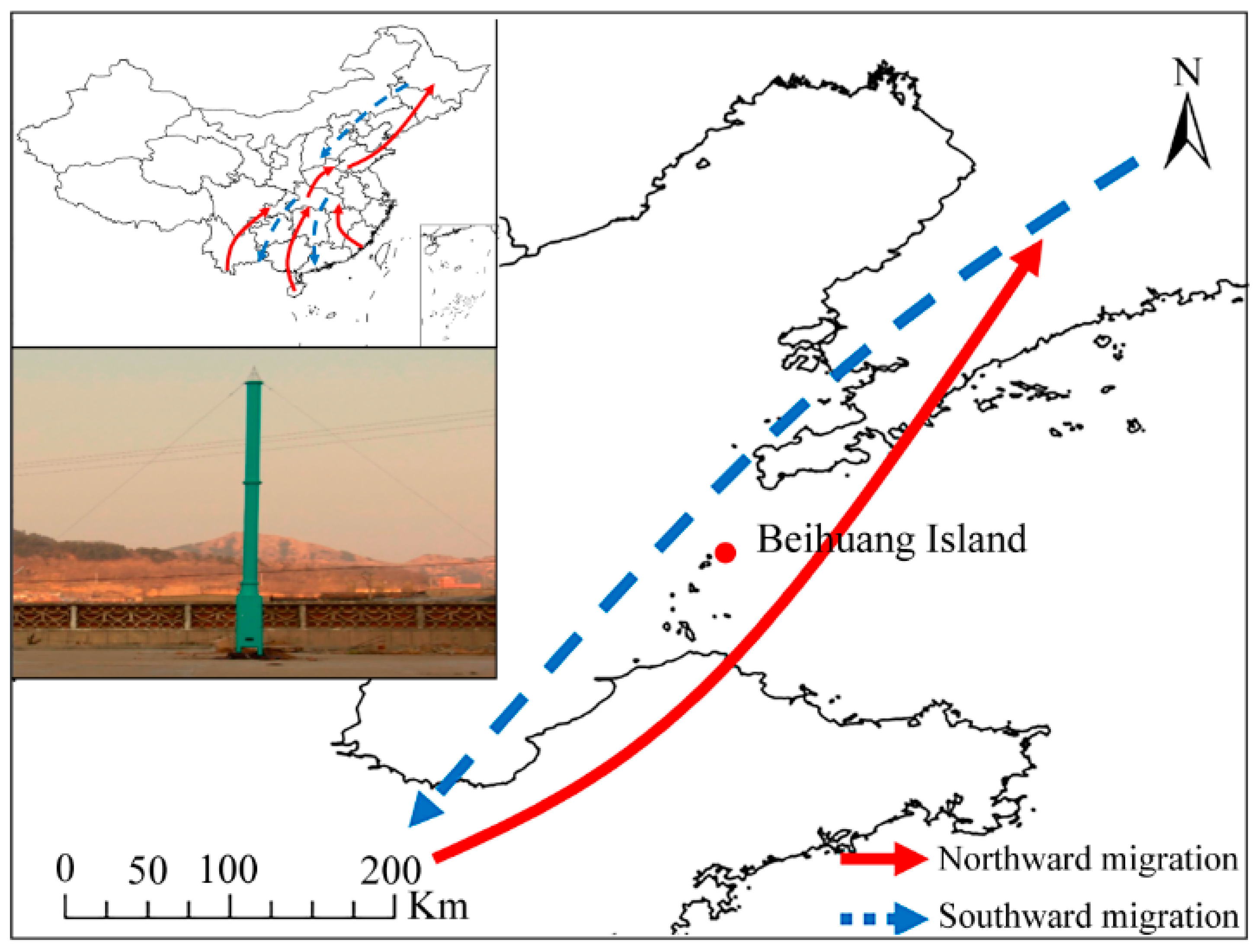 Insects 15 00321 g001