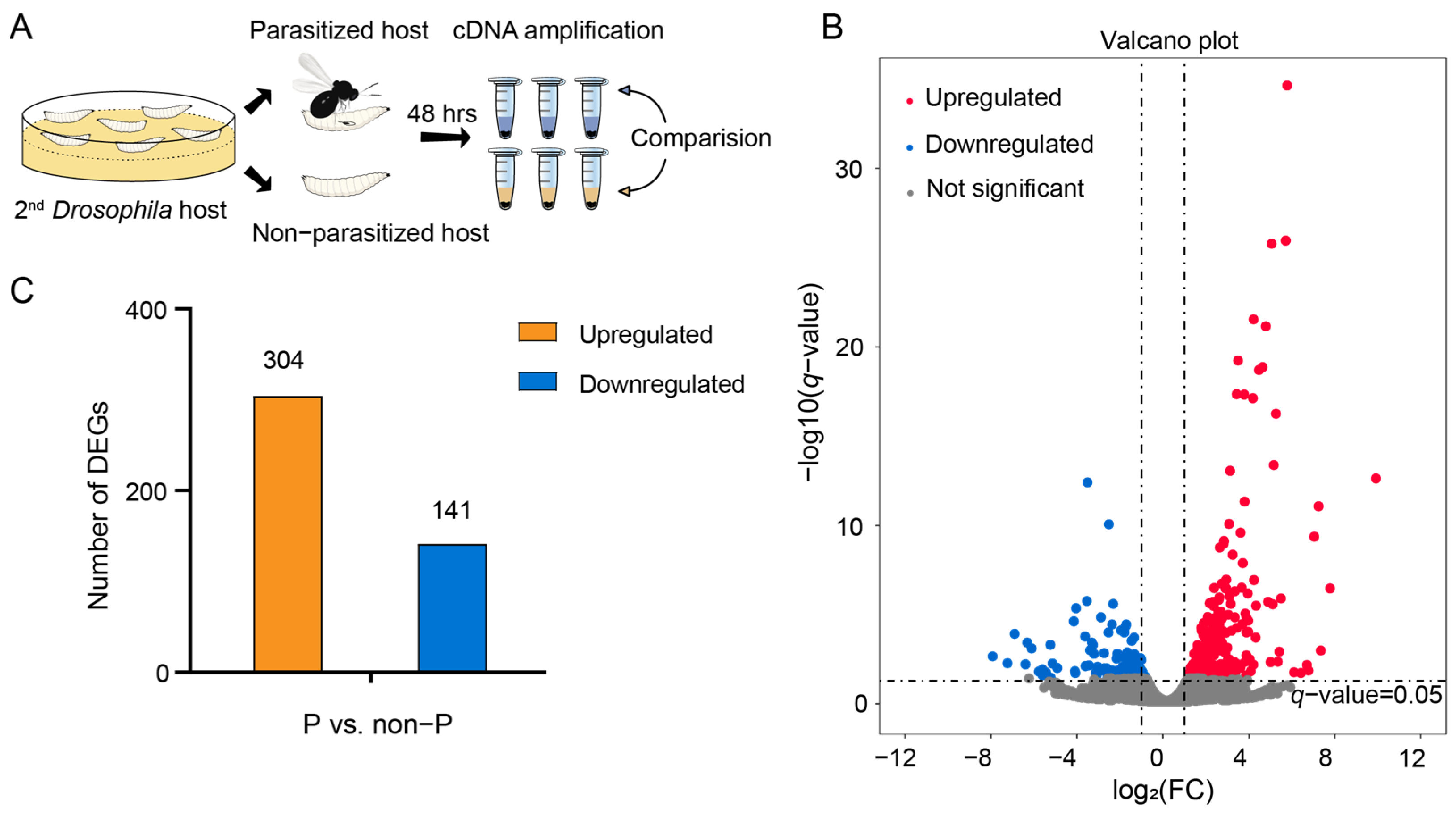 Insects | Free Full-Text | Transcriptomic Insights into Host 