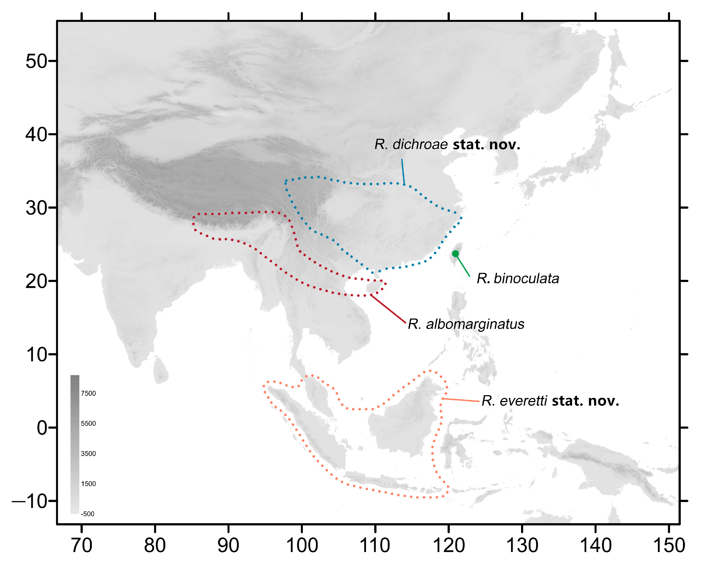 Insects | Free Full-Text | Revision of the Genus Rhagastis Rothschild &  Jordan, 1903 (Lepidoptera: Sphingidae) from China, Based on Morphological  and Phylogenetic Analyses