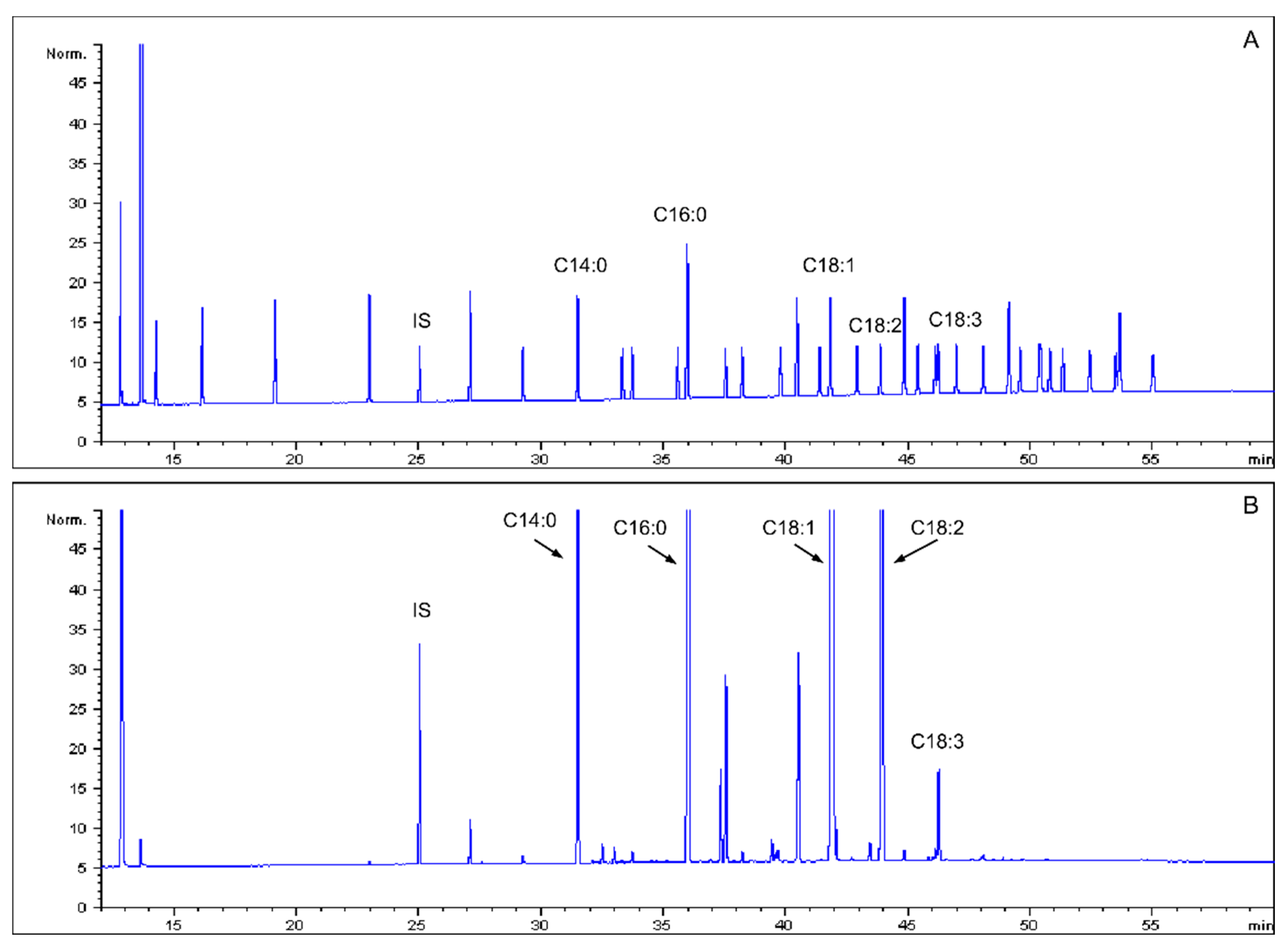 Insects 15 00365 g001