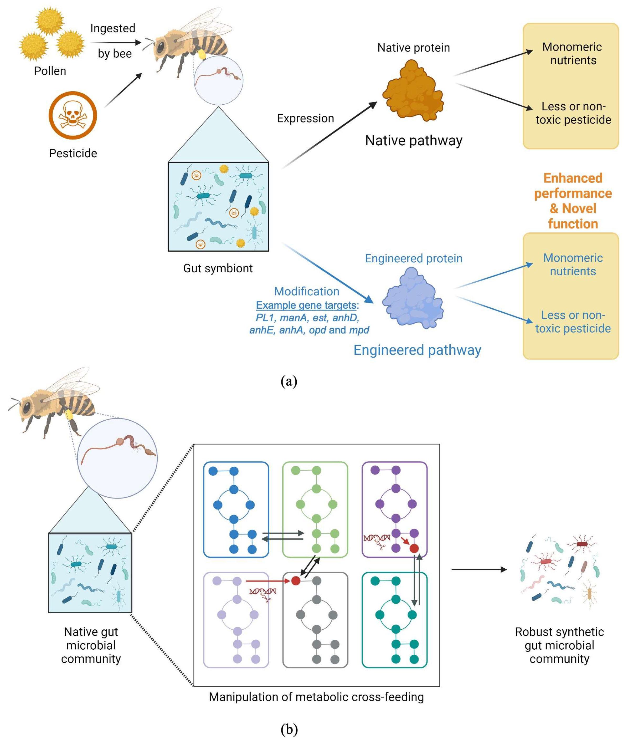 Insects 15 00369 g001