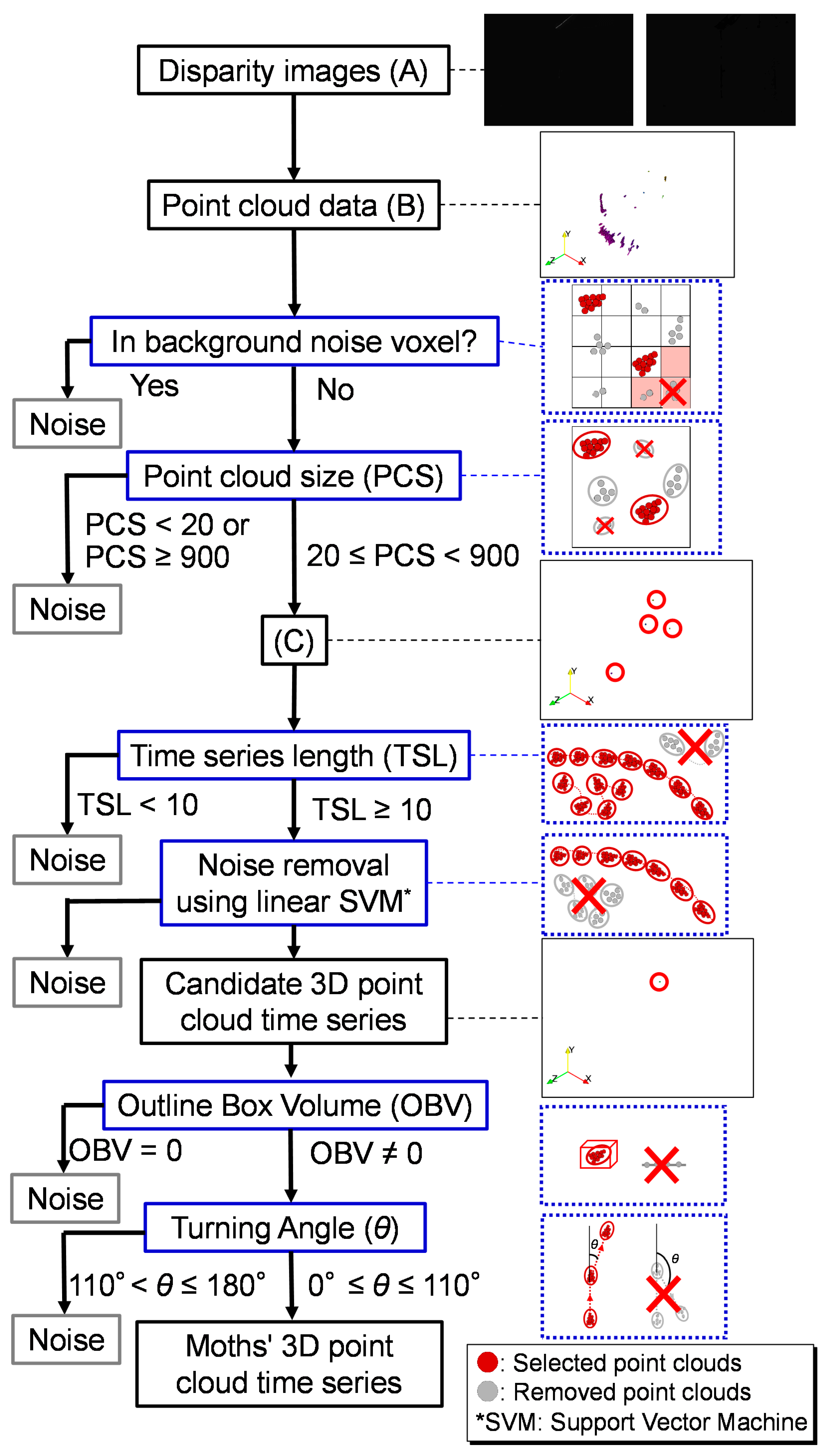 Insects 15 00373 g002