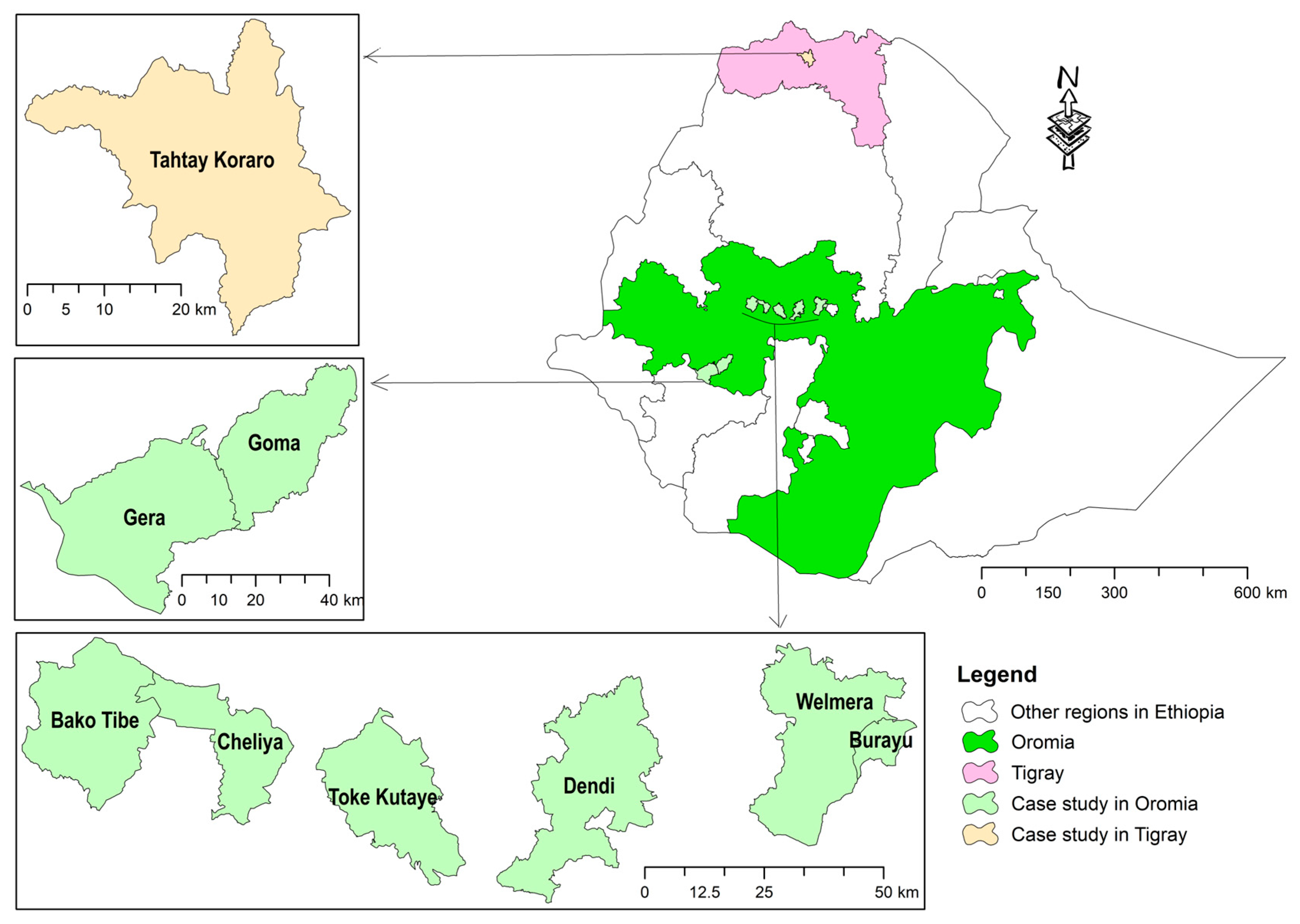 Insects 15 00376 g001