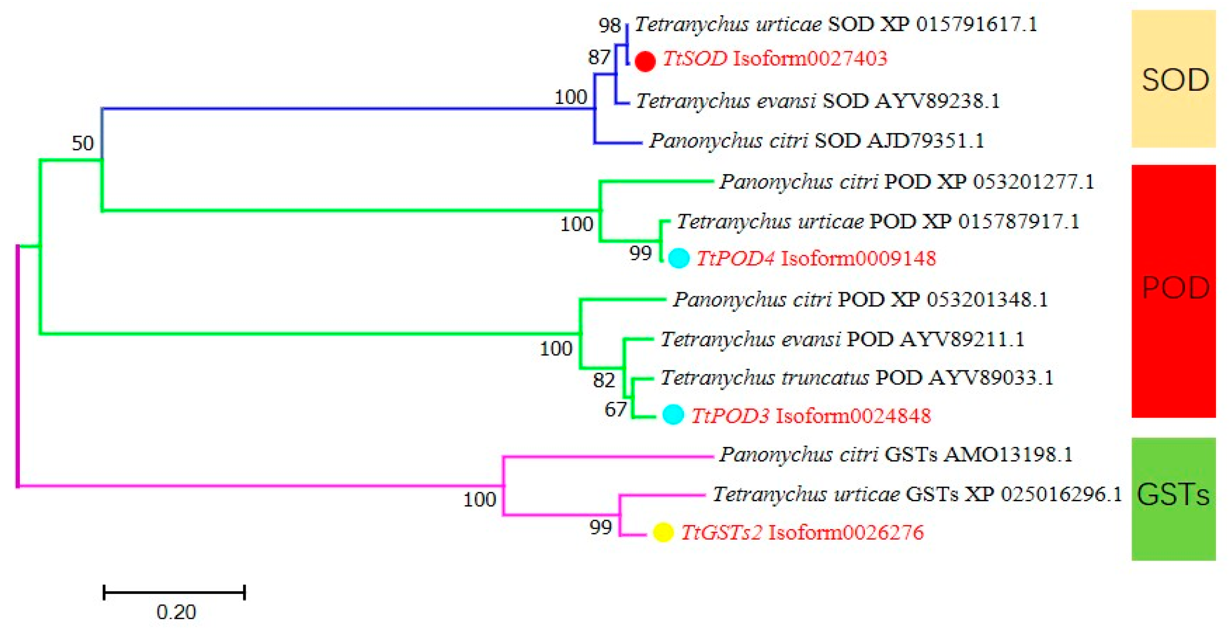 Insects 15 00381 g003