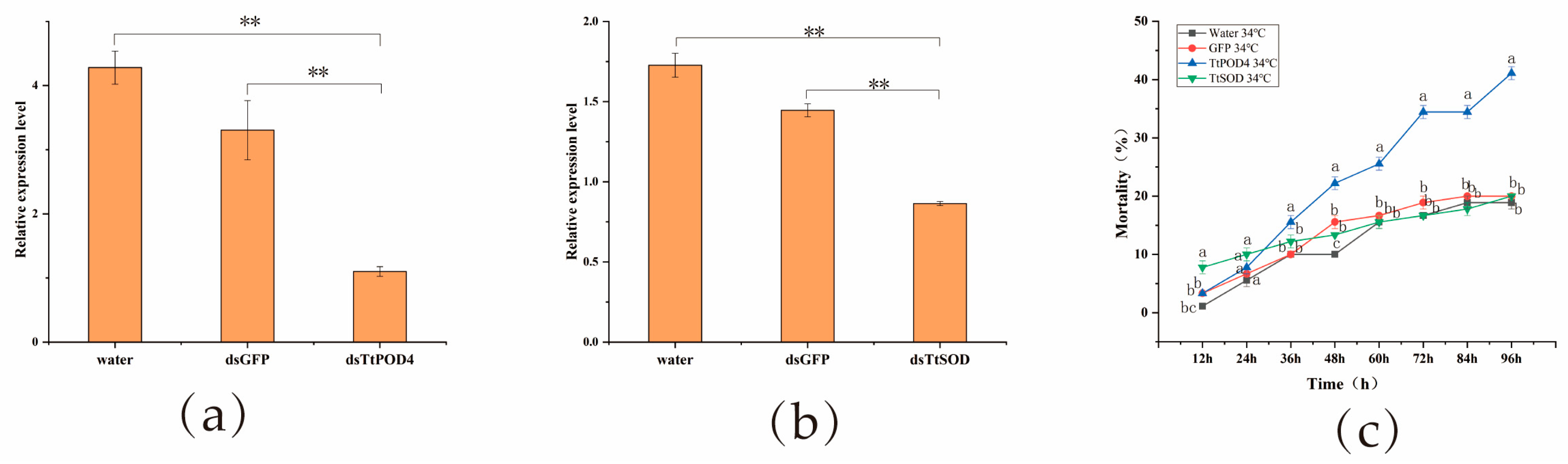 Insects 15 00381 g005