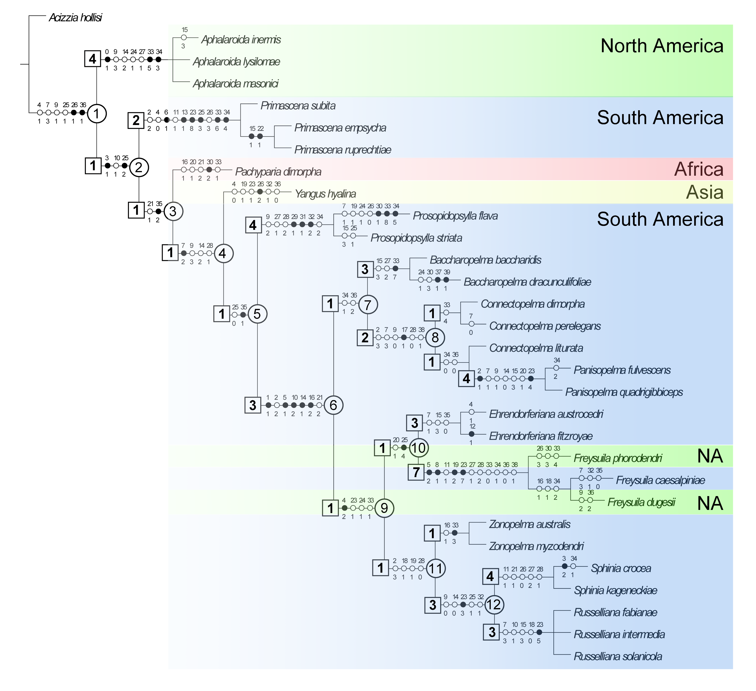 Insects 15 00382 g001