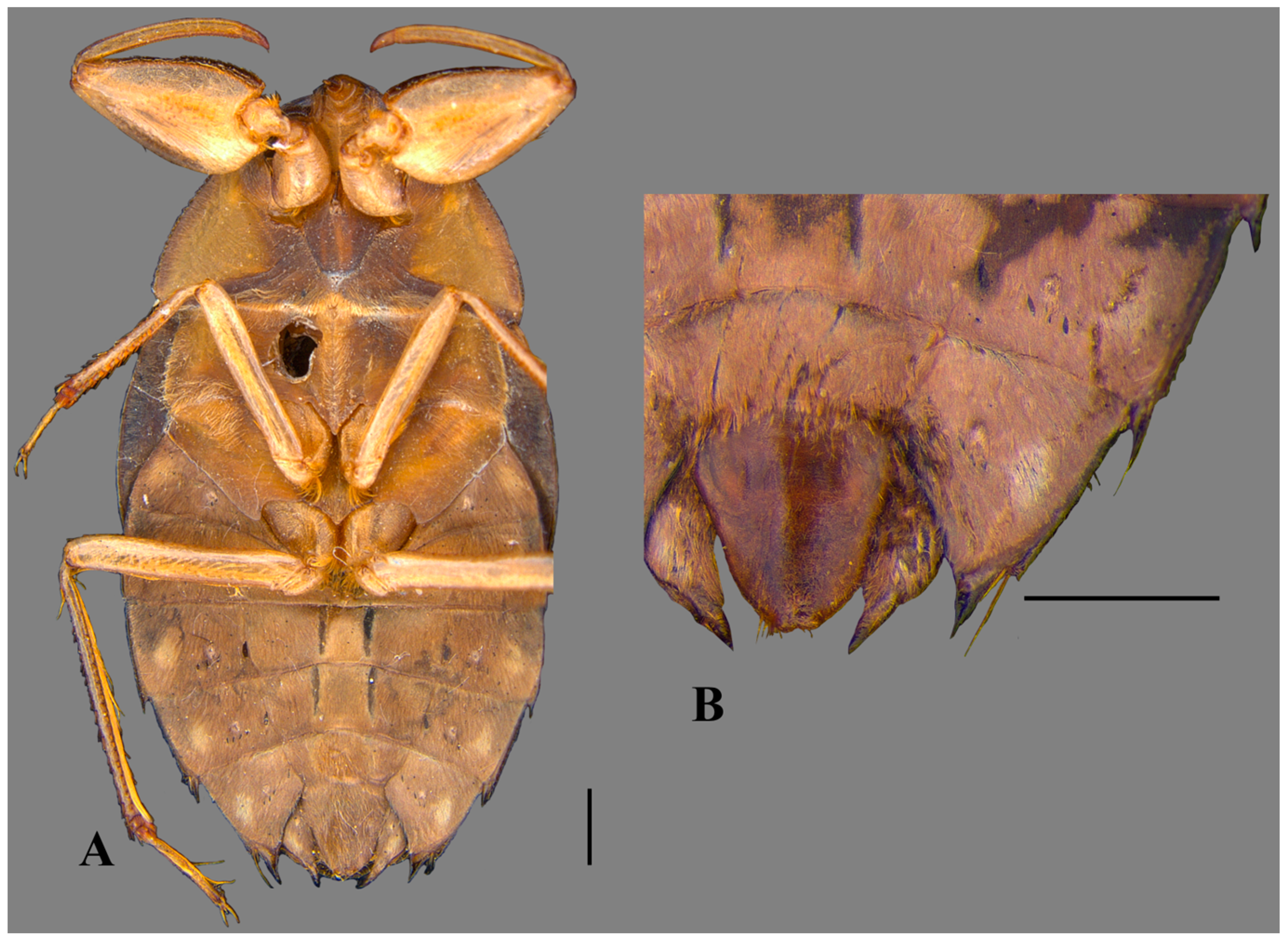 Insects 15 00383 g003 Insects 15 00383 g003