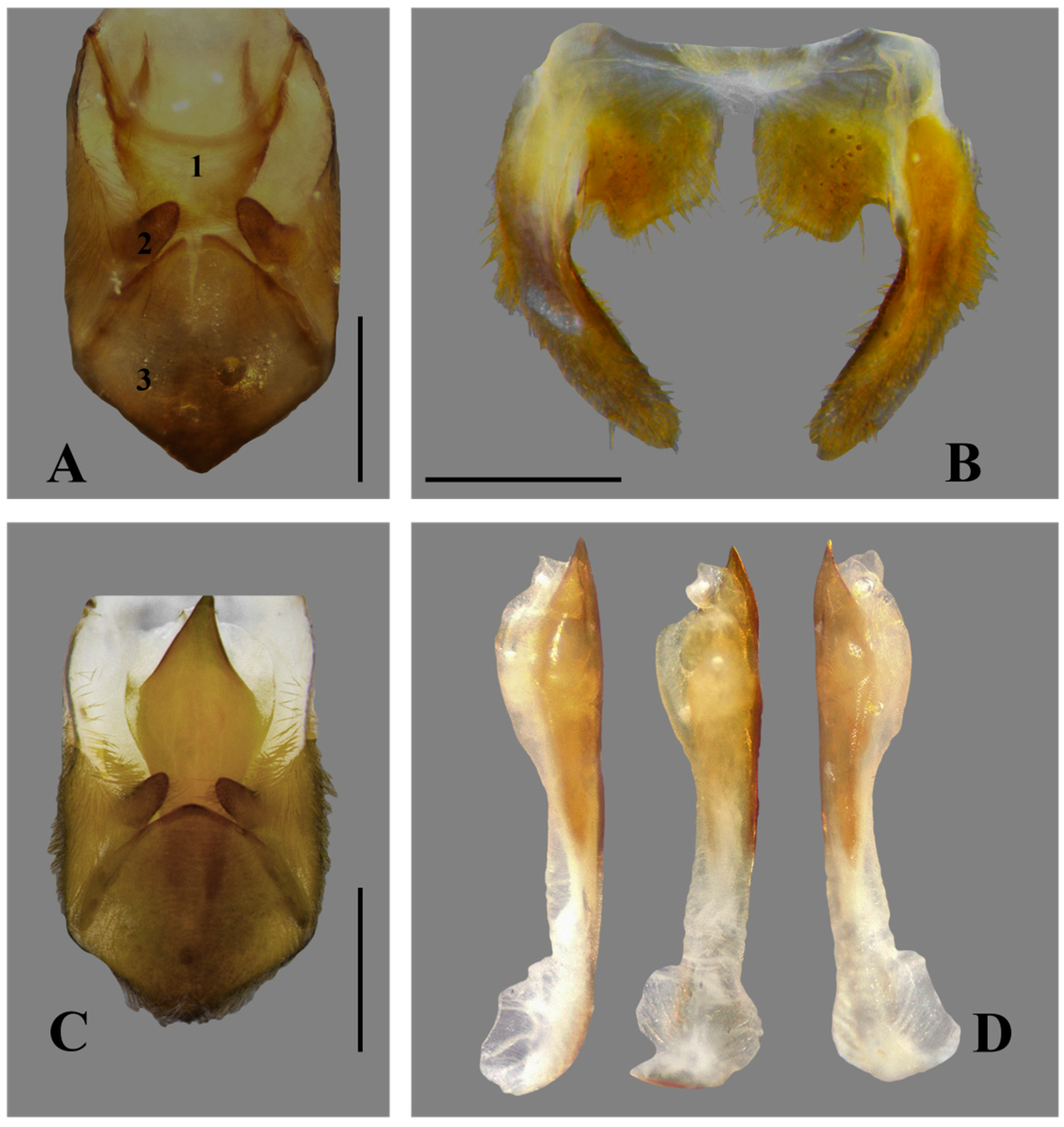 Insects 15 00383 g004 Insects 15 00383 g004