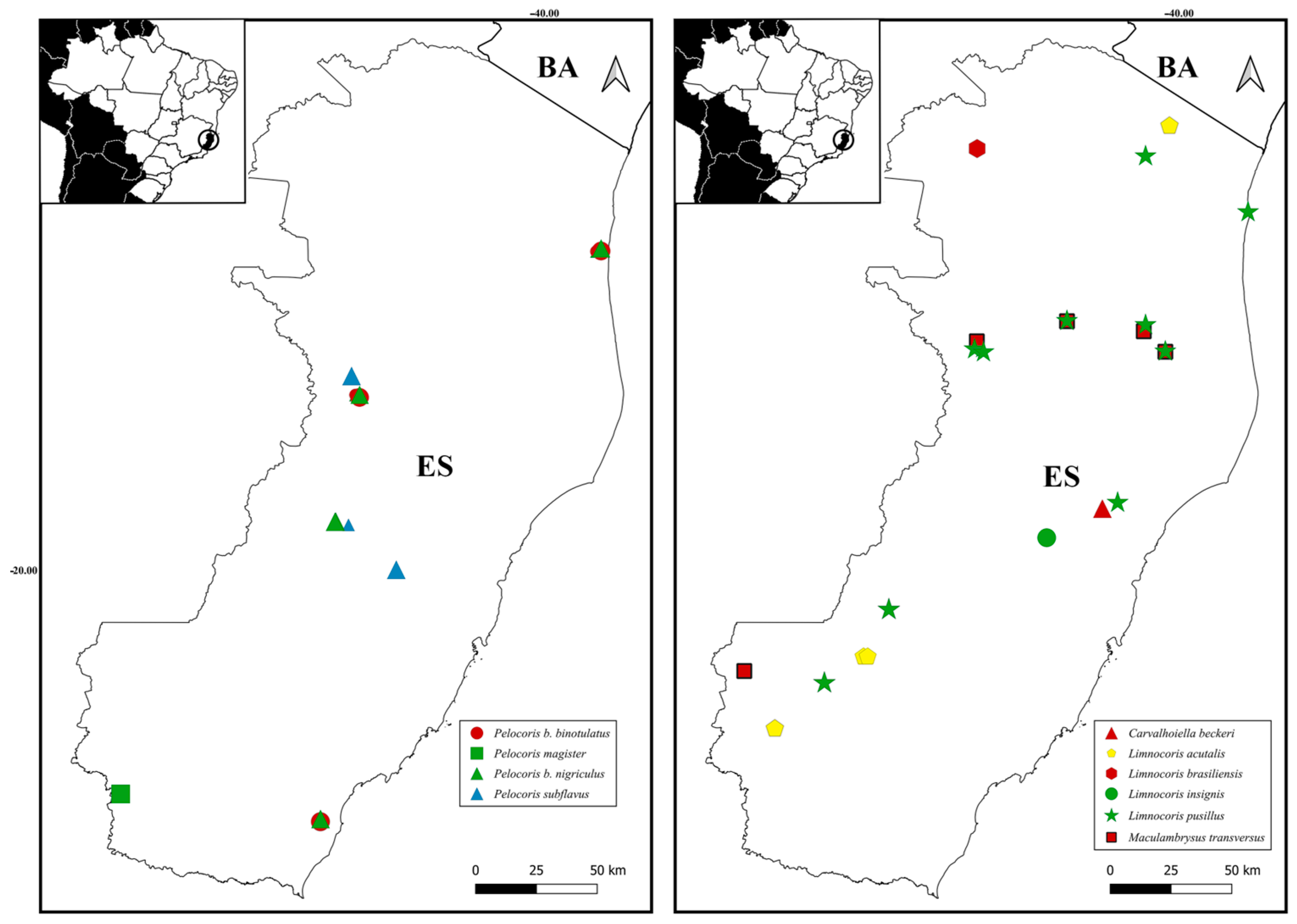Insects 15 00383 g007 Insects 15 00383 g007