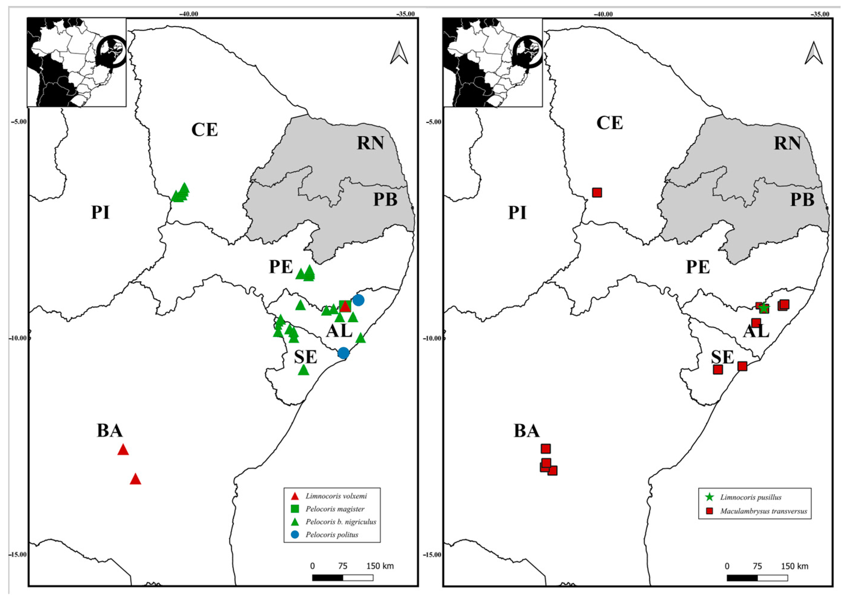 Insects 15 00383 g008 Insects 15 00383 g008
