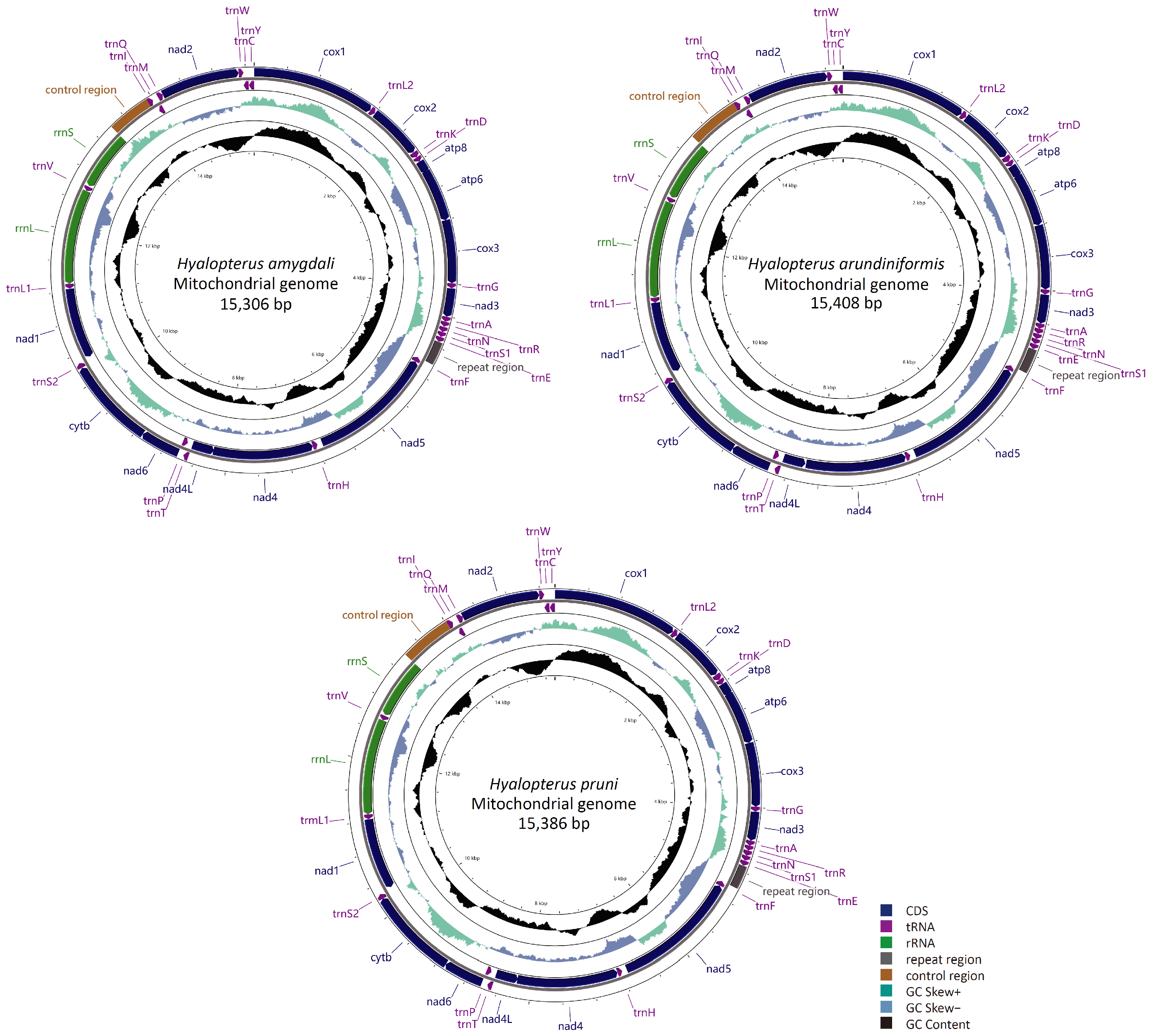 Insects 15 00389 g001