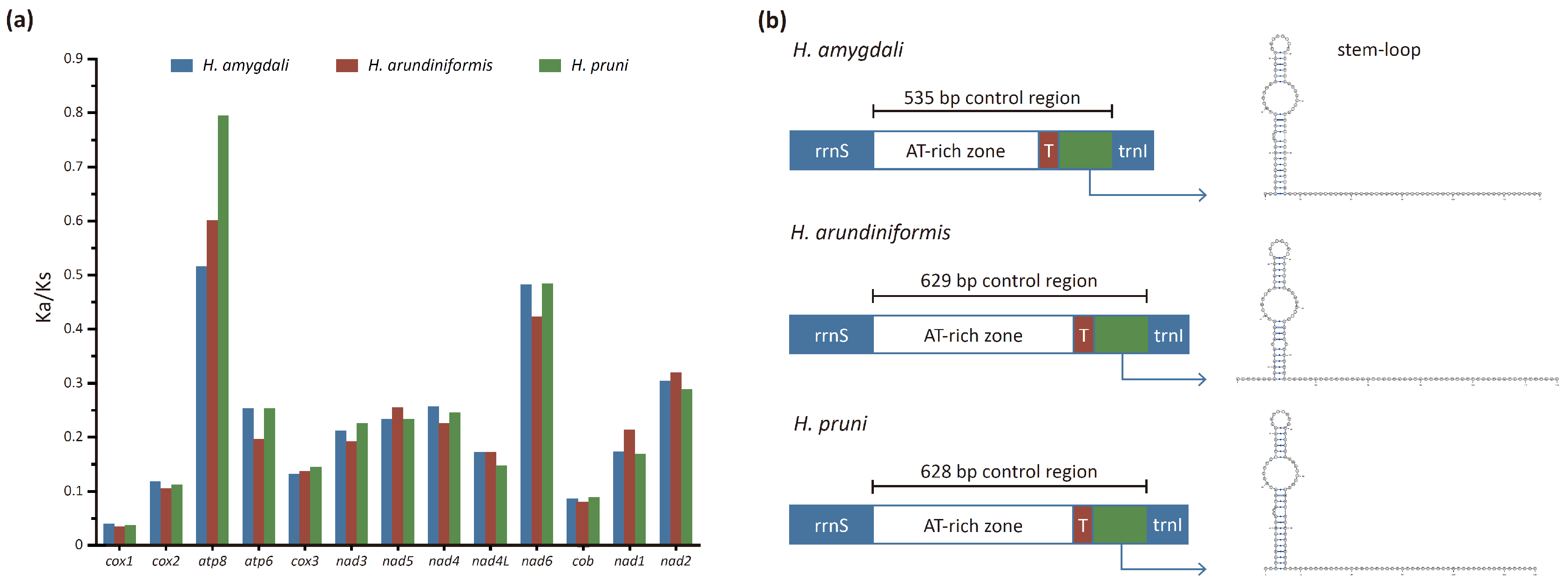 Insects 15 00389 g003