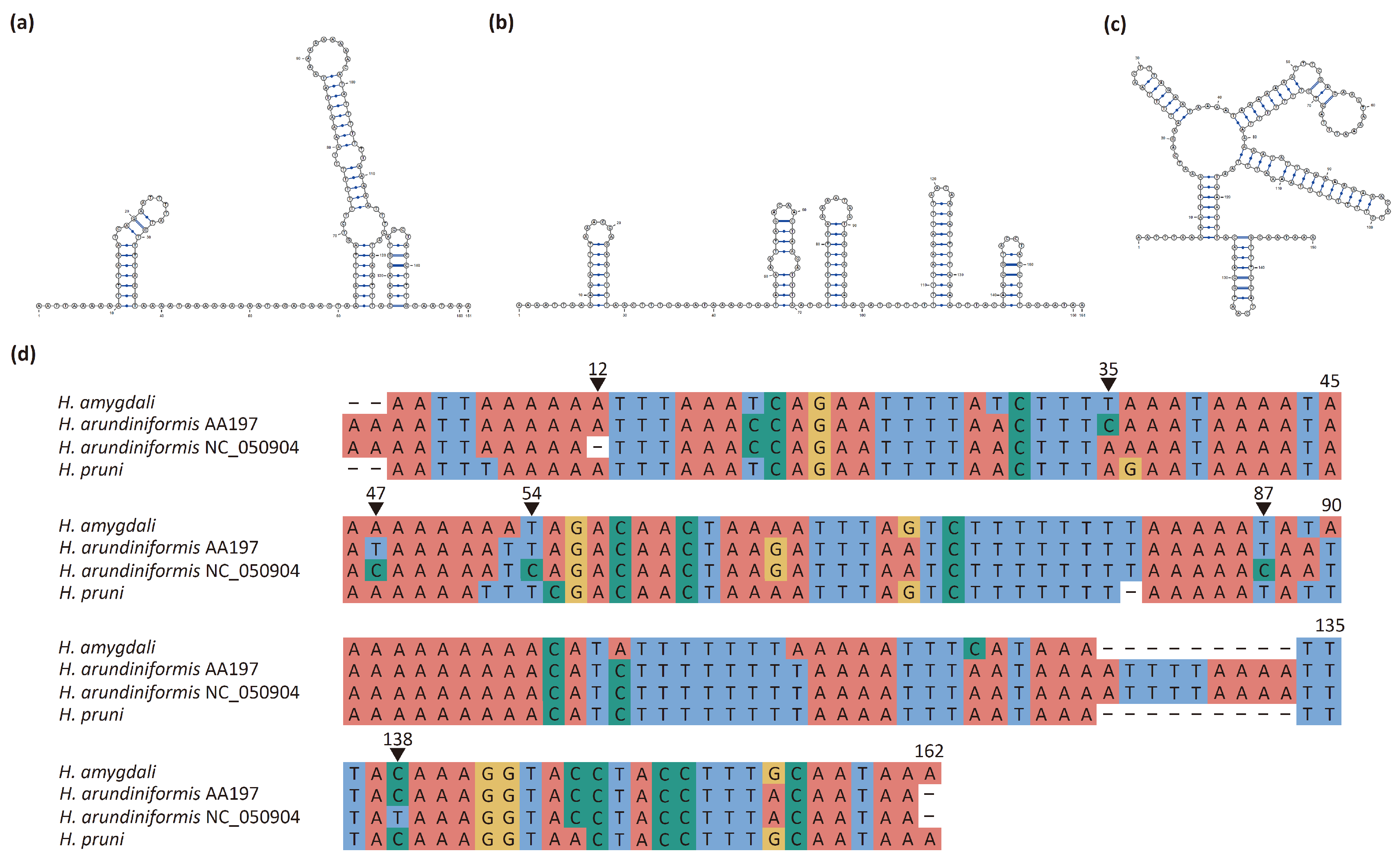 Insects 15 00389 g004