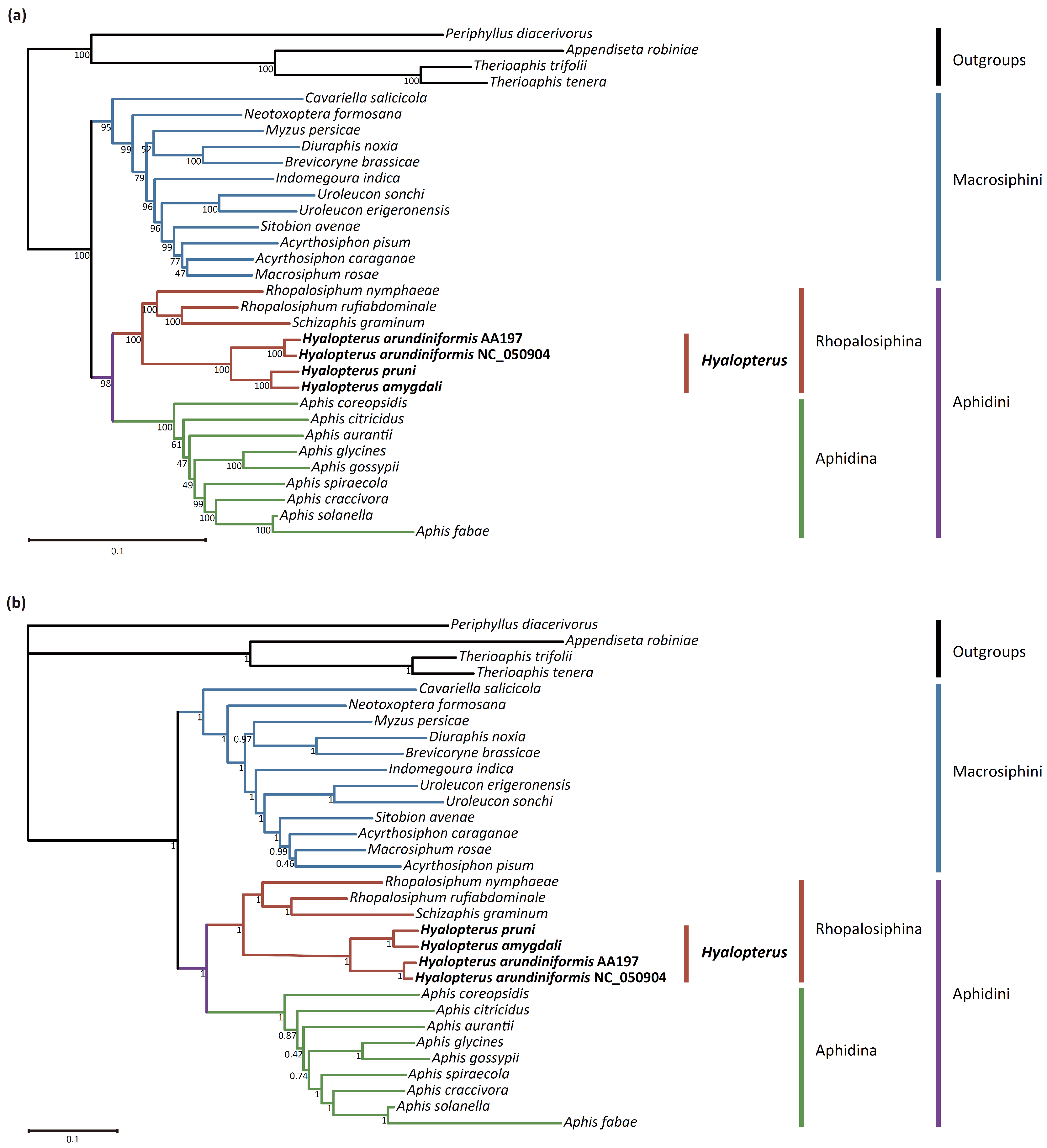 Insects 15 00389 g005