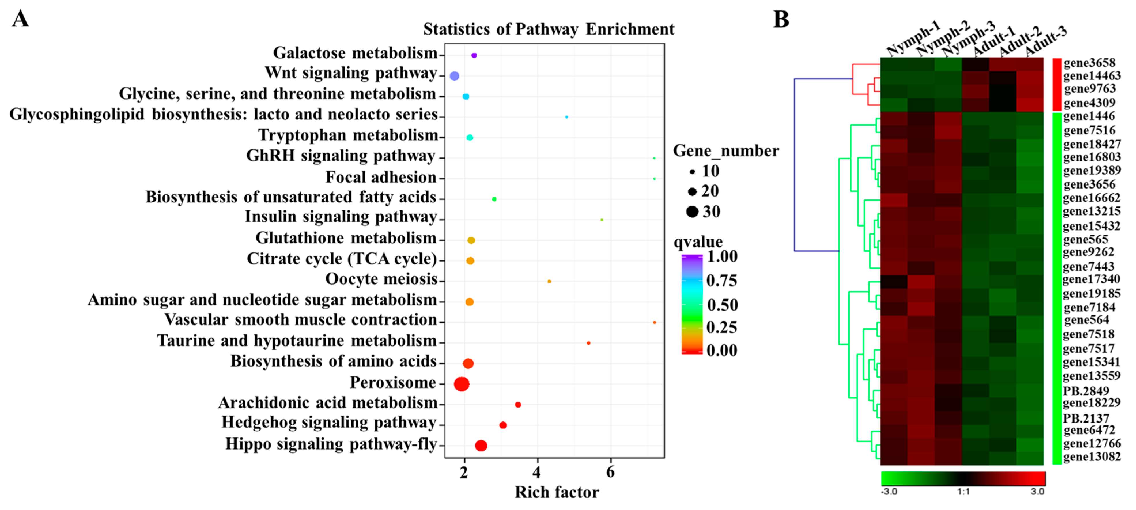 Insects 15 00391 g007