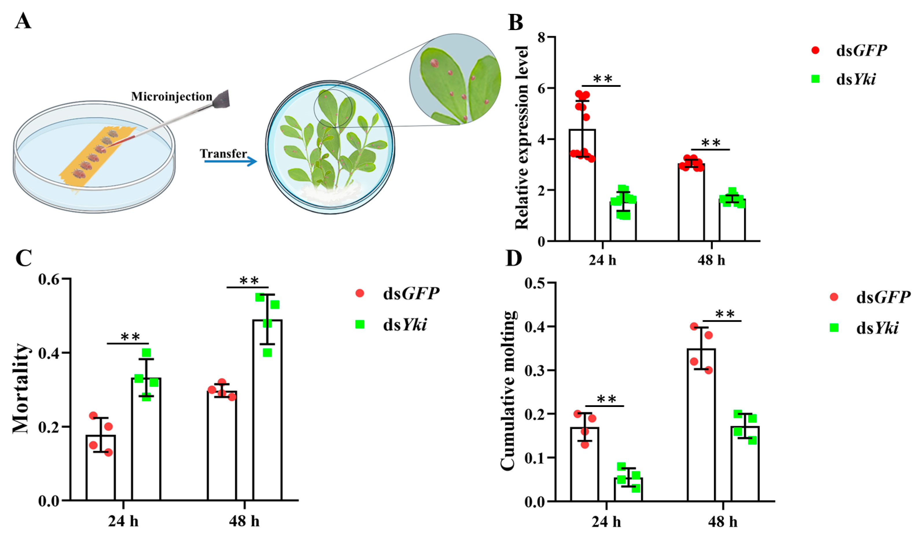 Insects 15 00391 g009