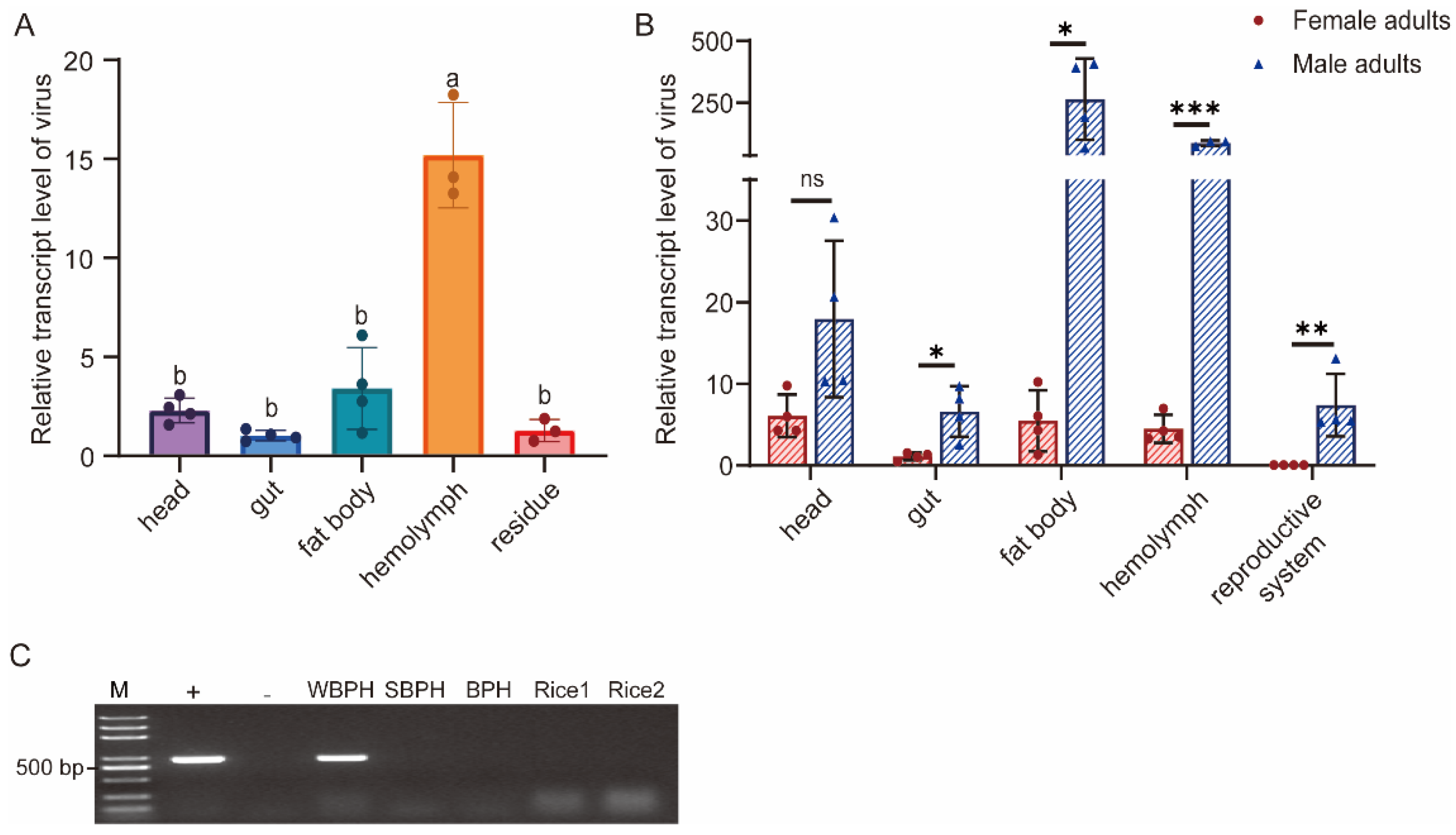 Insects 15 00394 g004
