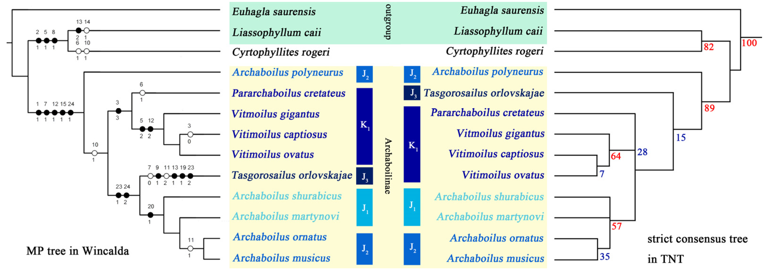 Insects 15 00396 g001