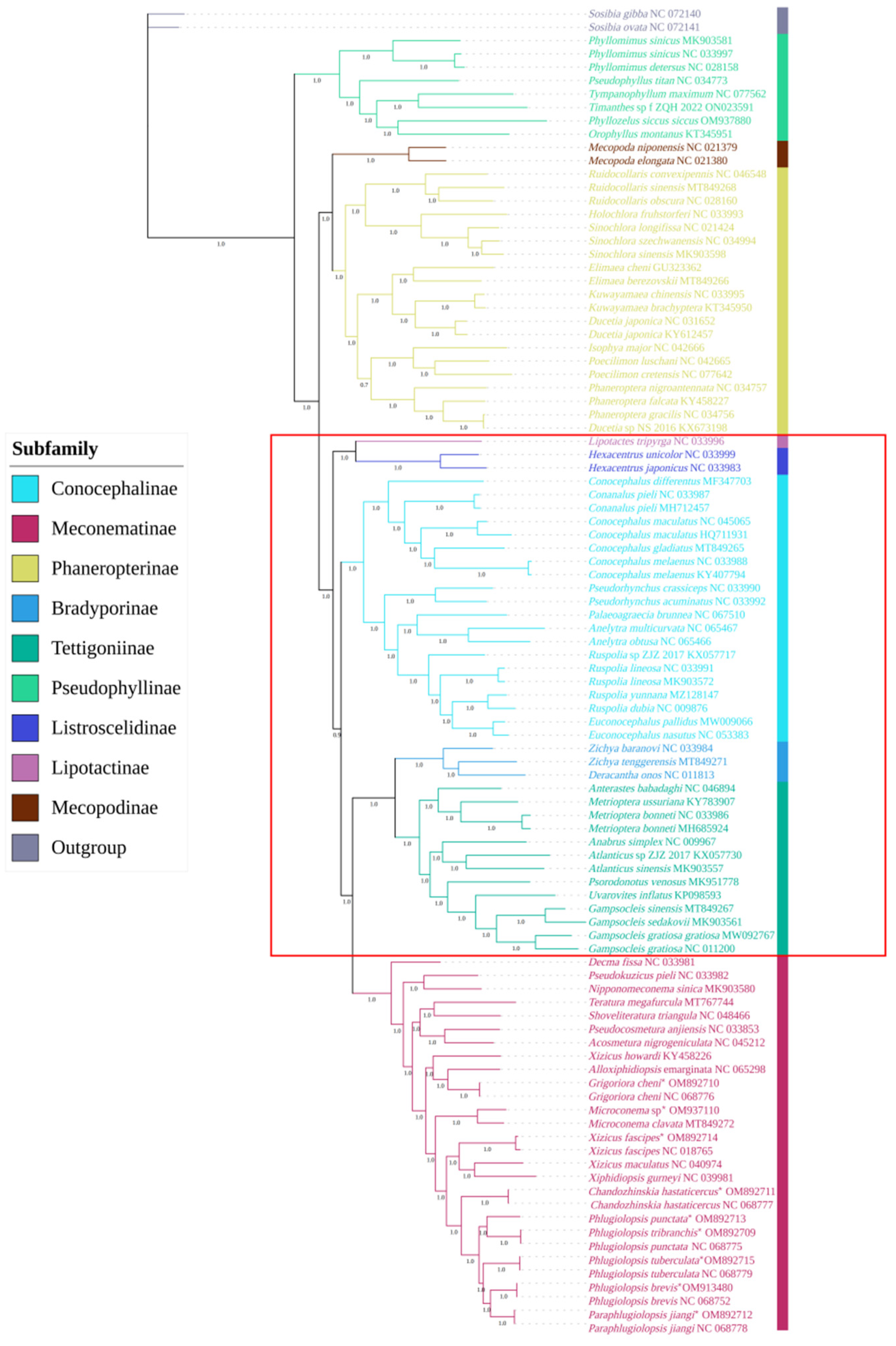 Insects 15 00413 g004