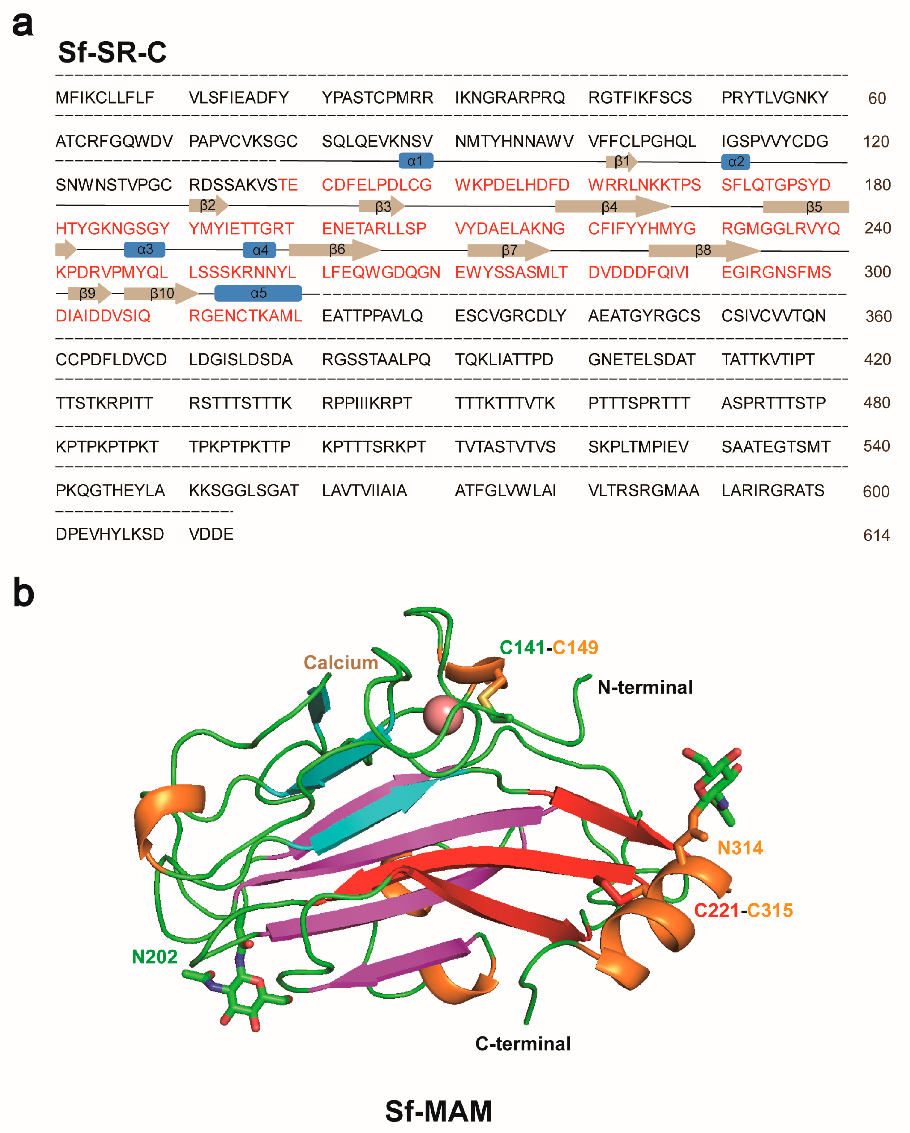 Insects 15 00428 g002