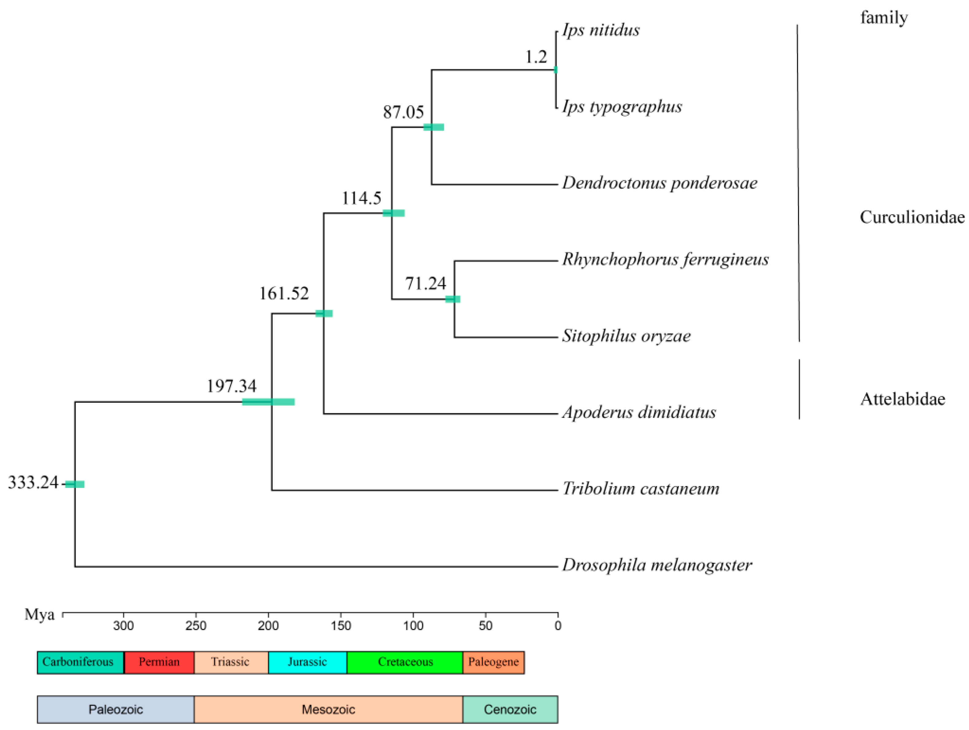 Insects 15 00431 g003